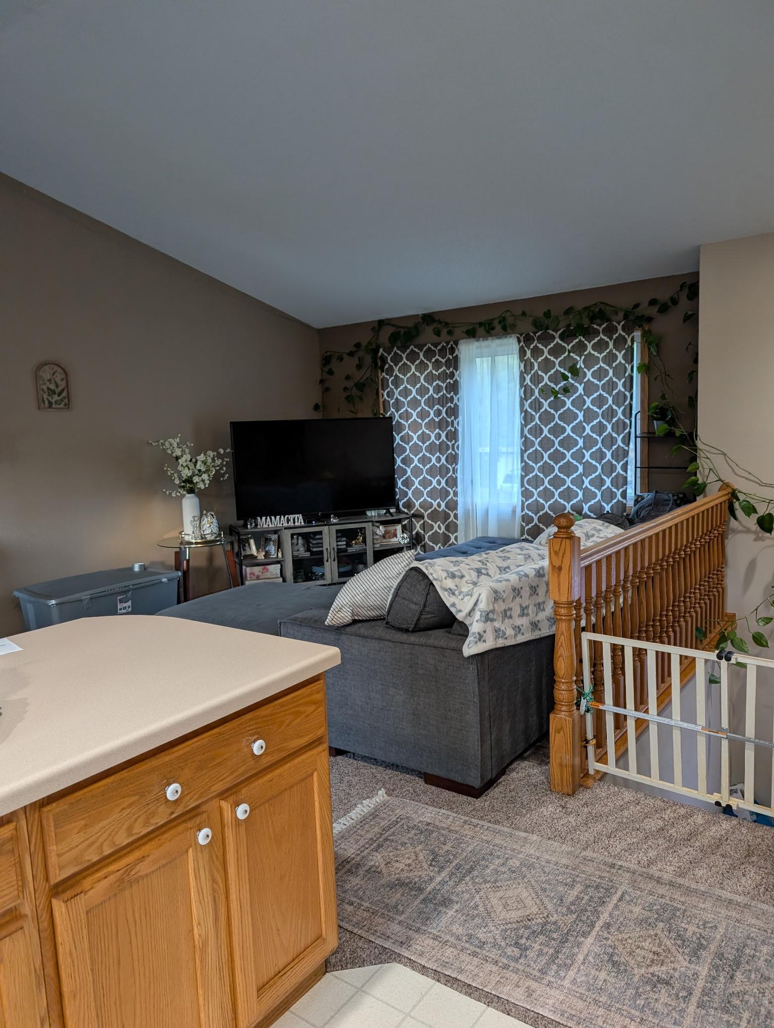View of Residential at 137 Barony Road, Le Sueur MN 56058, Le Sueur (20 of 21) - Mike Wilen | Minnesota Team Real Estate