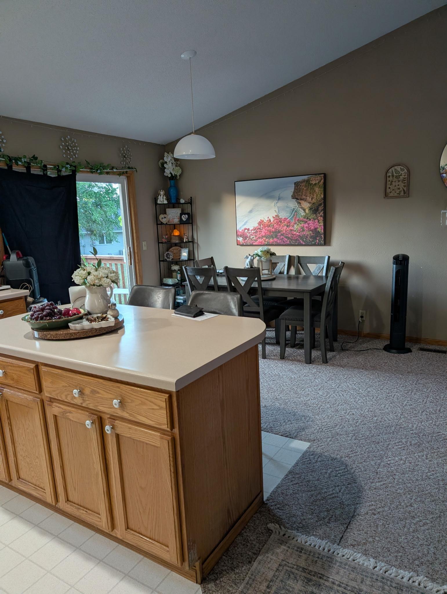 View of Residential at 137 Barony Road, Le Sueur MN 56058, Le Sueur (5 of 21) - Mike Wilen | Minnesota Team Real Estate