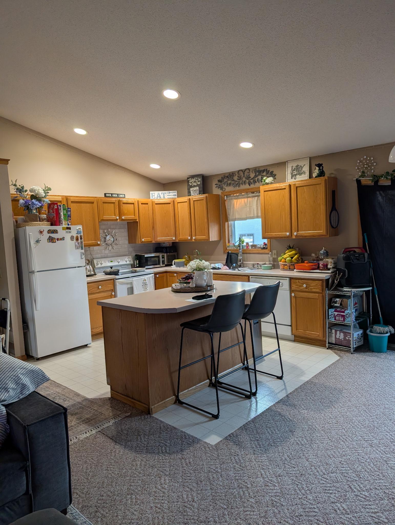 View of Residential at 137 Barony Road, Le Sueur MN 56058, Le Sueur (8 of 21) - Mike Wilen | Minnesota Team Real Estate