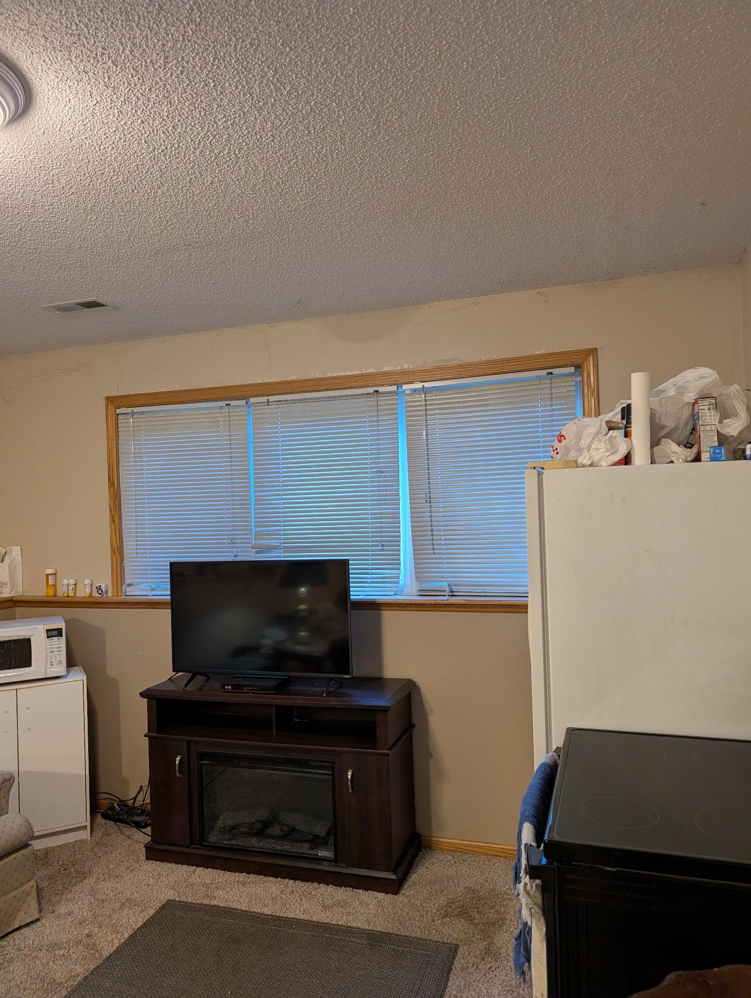 View of Residential at 137 Barony Road, Le Sueur MN 56058, Le Sueur (15 of 21) - Mike Wilen | Minnesota Team Real Estate