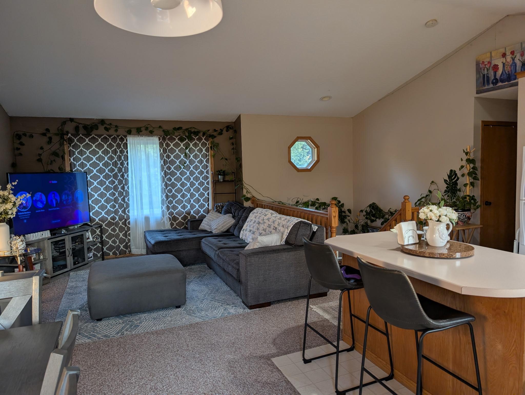 View of Residential at 137 Barony Road, Le Sueur MN 56058, Le Sueur (9 of 21) - Mike Wilen | Minnesota Team Real Estate