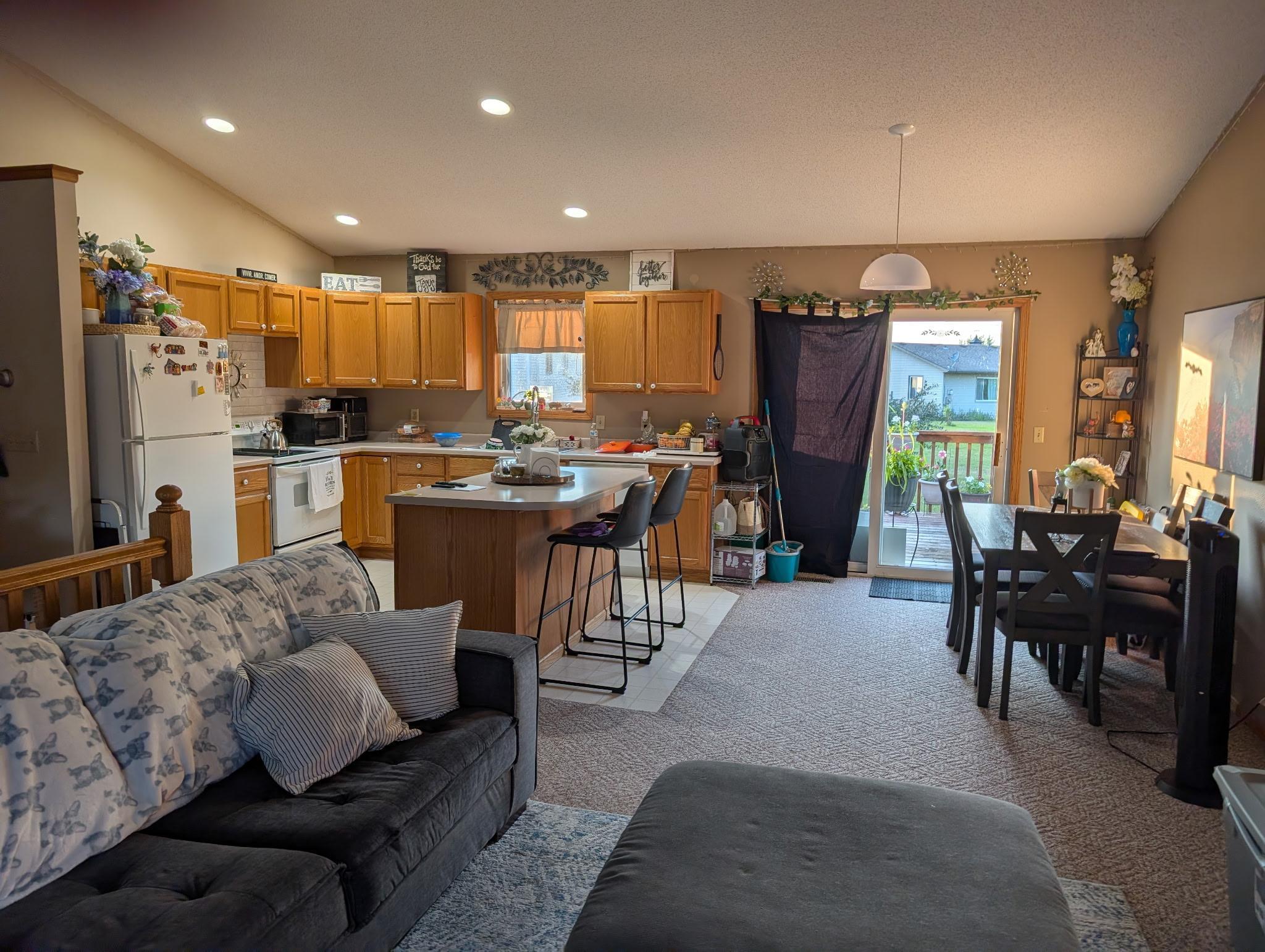 View of Residential at 137 Barony Road, Le Sueur MN 56058, Le Sueur (7 of 21) - Mike Wilen | Minnesota Team Real Estate