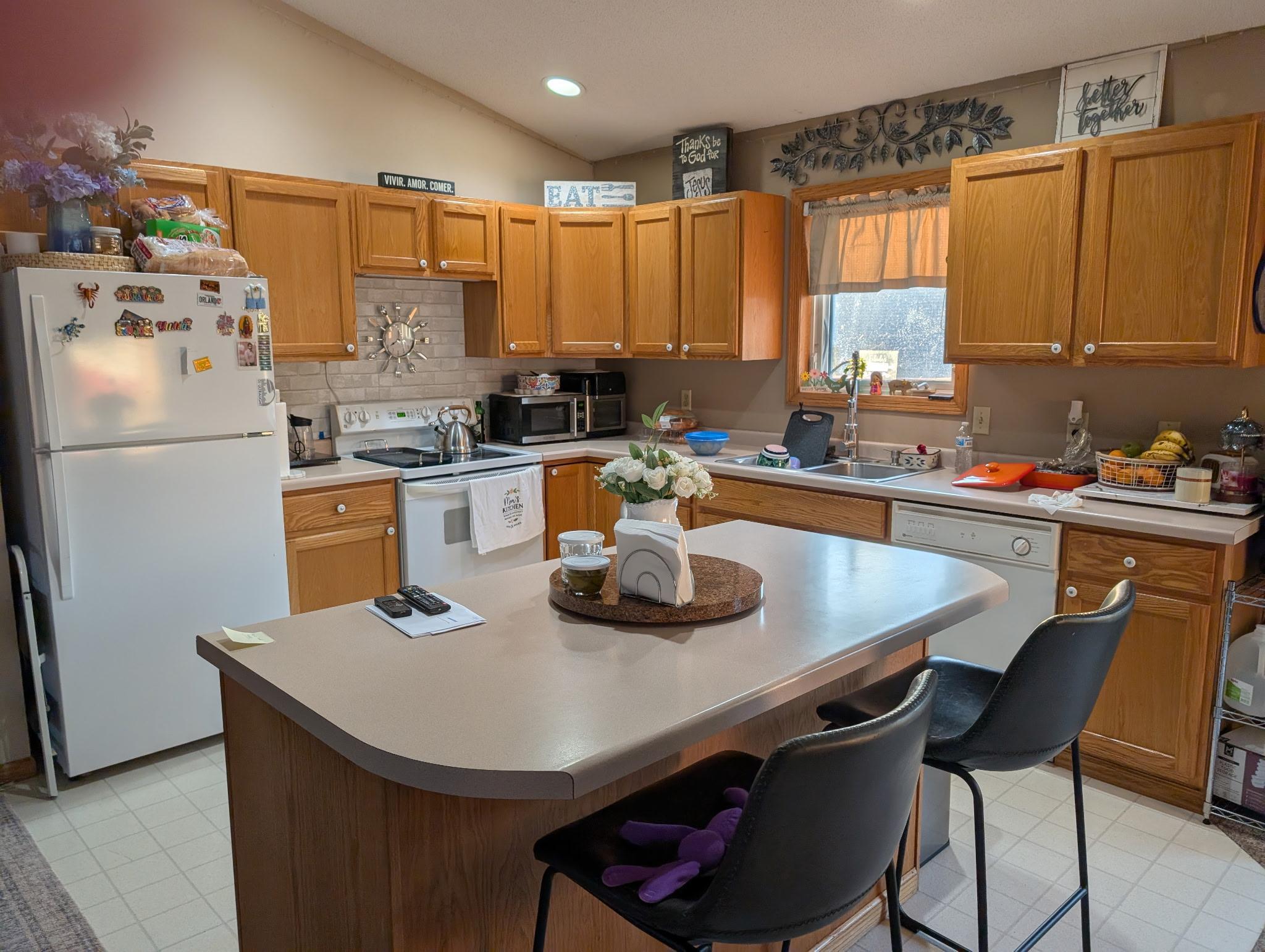 View of Residential at 137 Barony Road, Le Sueur MN 56058, Le Sueur (6 of 21) - Mike Wilen | Minnesota Team Real Estate