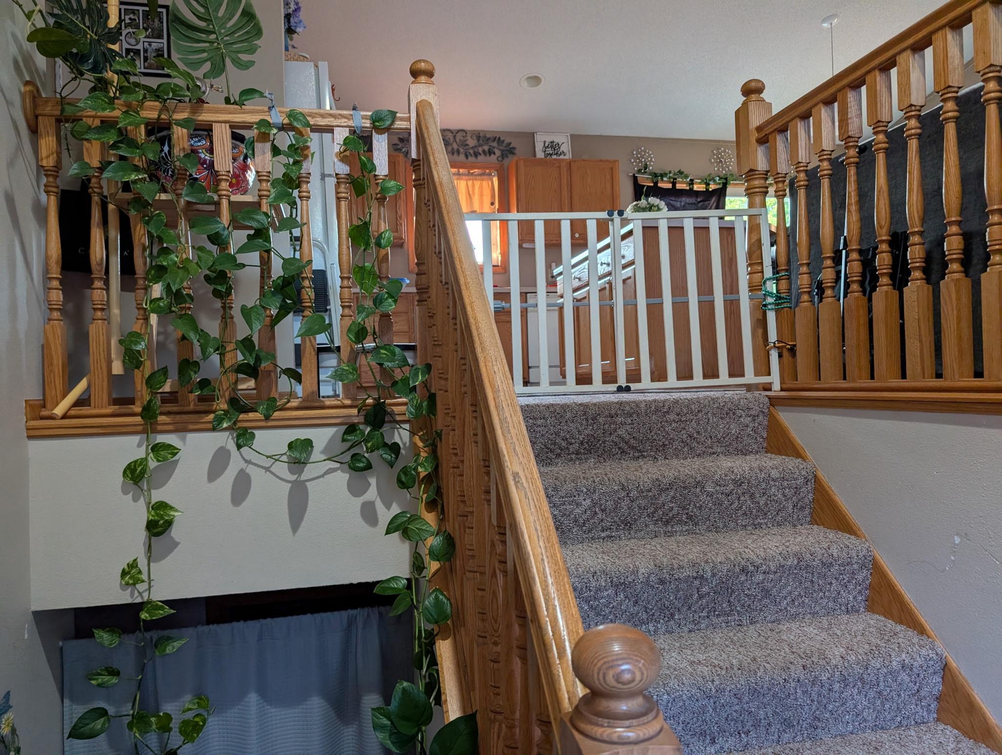 View of Residential at 137 Barony Road, Le Sueur MN 56058, Le Sueur (14 of 21) - Mike Wilen | Minnesota Team Real Estate