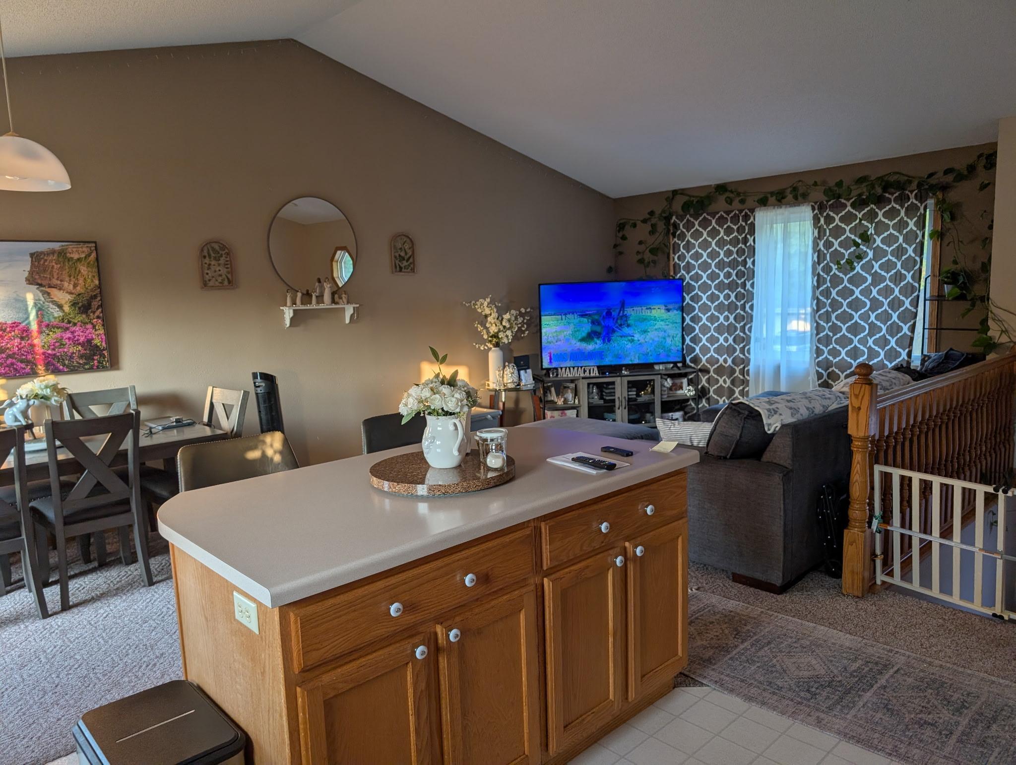 View of Residential at 137 Barony Road, Le Sueur MN 56058, Le Sueur (4 of 21) - Mike Wilen | Minnesota Team Real Estate