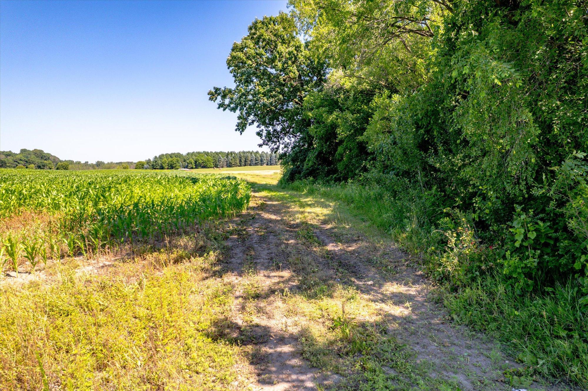 View of Land at XXX Sugarbush Road, Nowthen MN 55330, Nowthen (7 of 19) - Mike Wilen | Minnesota Team Real Estate