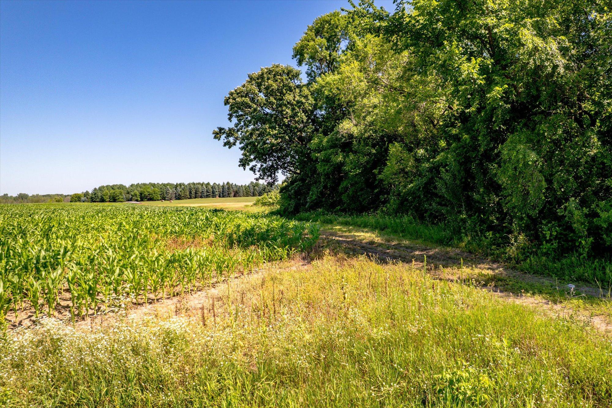 View of Land at XXX Sugarbush Road, Nowthen MN 55330, Nowthen (5 of 19) - Mike Wilen | Minnesota Team Real Estate