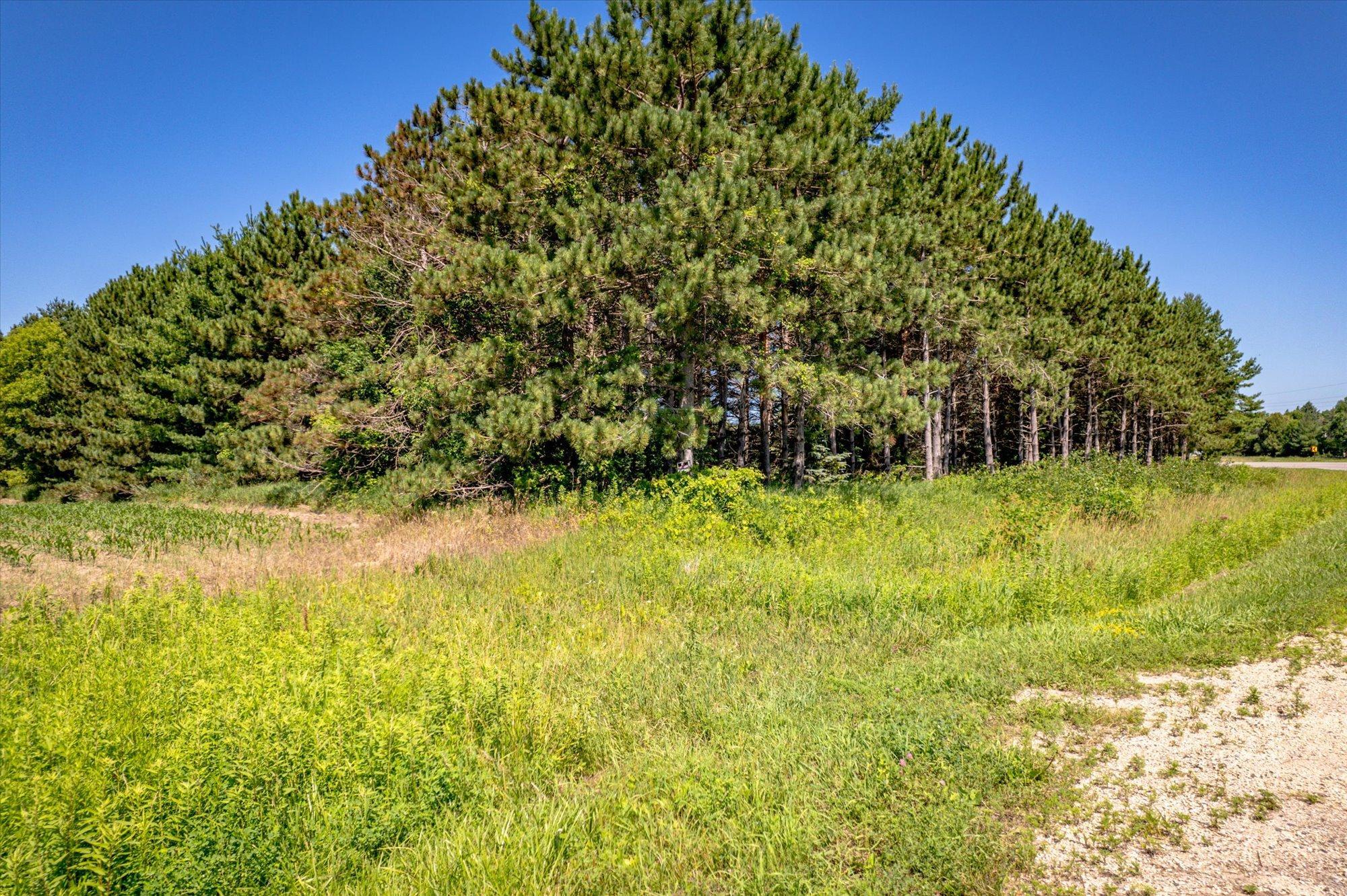 View of Land at XXX Sugarbush Road, Nowthen MN 55330, Nowthen (4 of 19) - Mike Wilen | Minnesota Team Real Estate