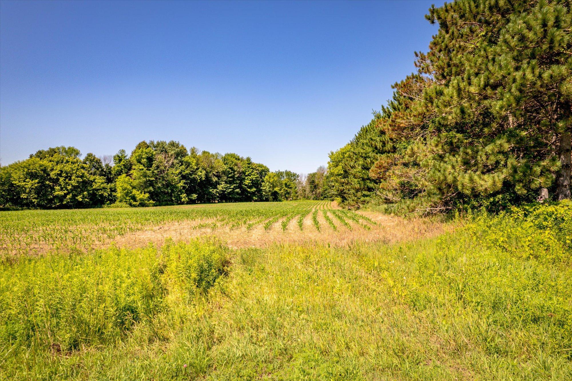 View of Land at XXX Sugarbush Road, Nowthen MN 55330, Nowthen (3 of 19) - Mike Wilen | Minnesota Team Real Estate