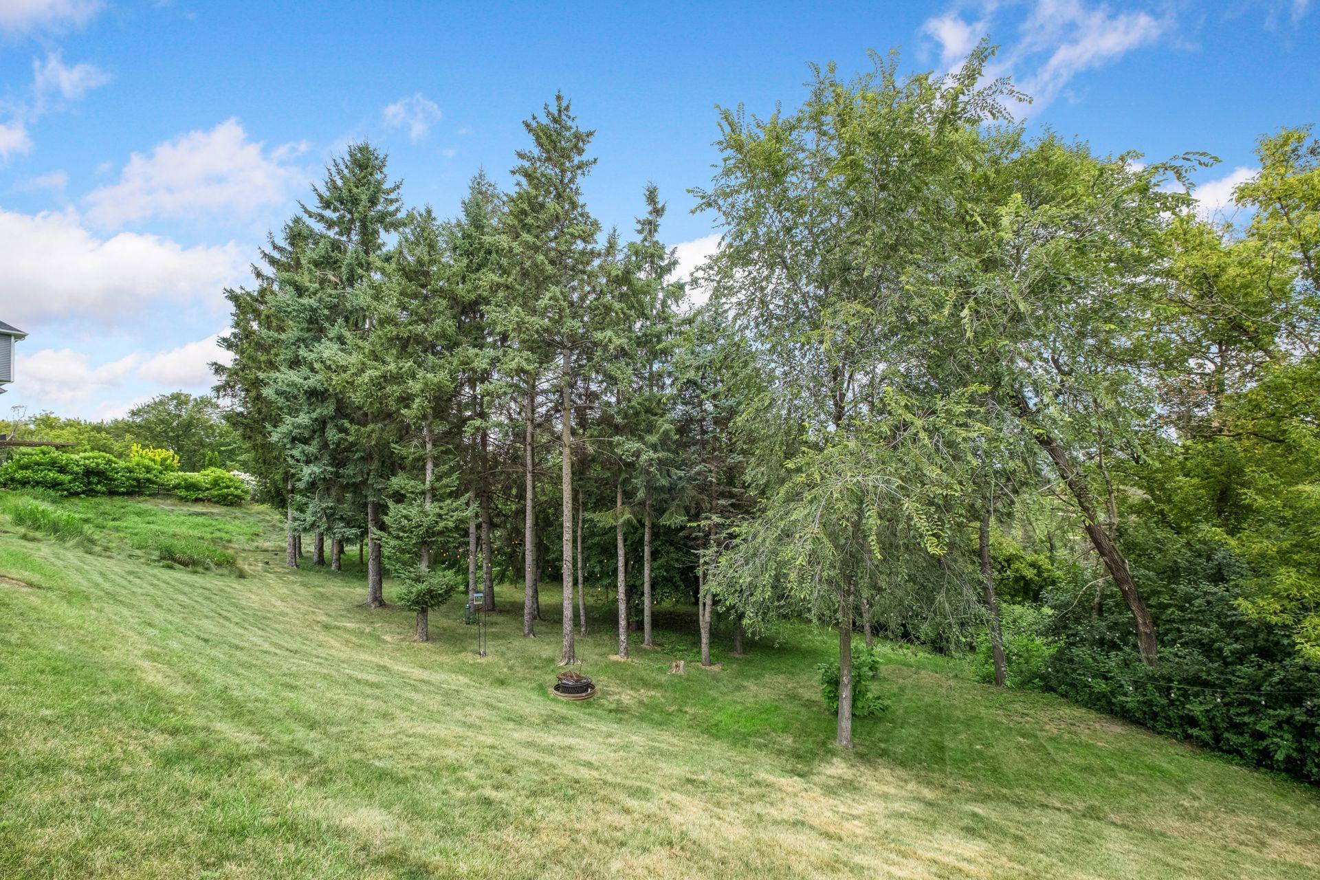 View of Residential at 9708 Compass Pointe Court, Woodbury MN 55129, Woodbury (61 of 62) - Mike Wilen | Minnesota Team Real Estate