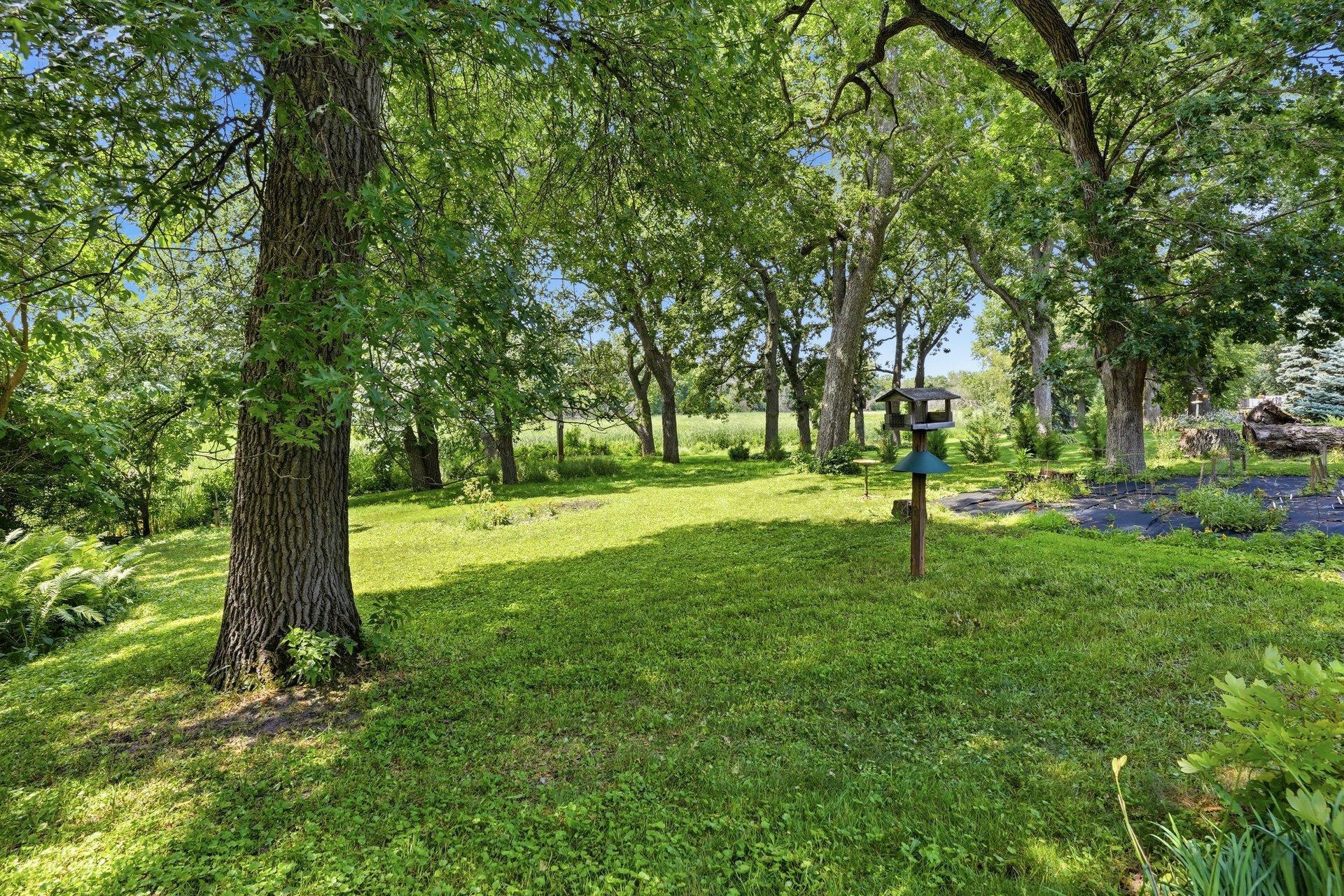 View of Residential at 5433 Twin Lake Boulevard, Brooklyn Center MN 55429, Brooklyn Center (5 of 31) - Mike Wilen | Minnesota Team Real Estate