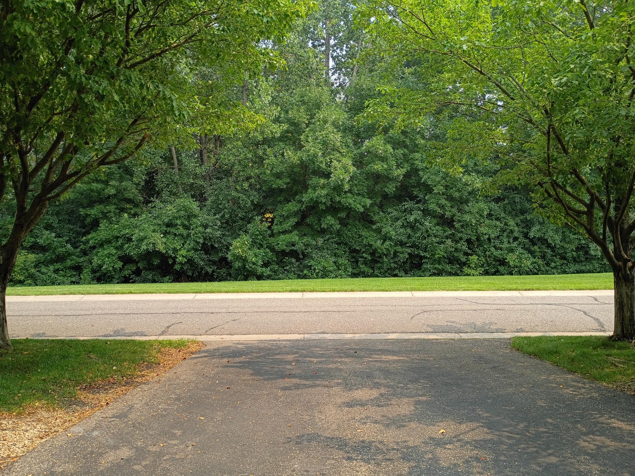 View of Residential at 6766 Meadow Grass Lane, Cottage Grove MN 55016, Cottage Grove (54 of 55) - Mike Wilen | Minnesota Team Real Estate
