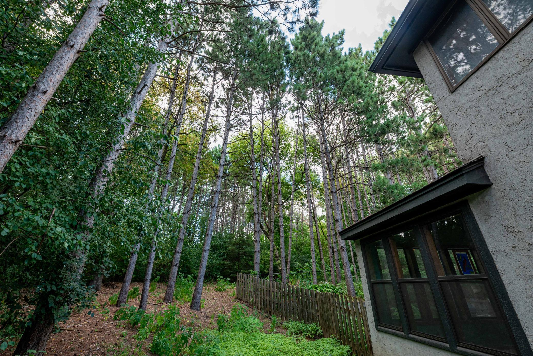 View of Residential at 1820 Interlachen Alcove, Woodbury MN 55125, Woodbury (125 of 136) - Mike Wilen | Minnesota Team Real Estate
