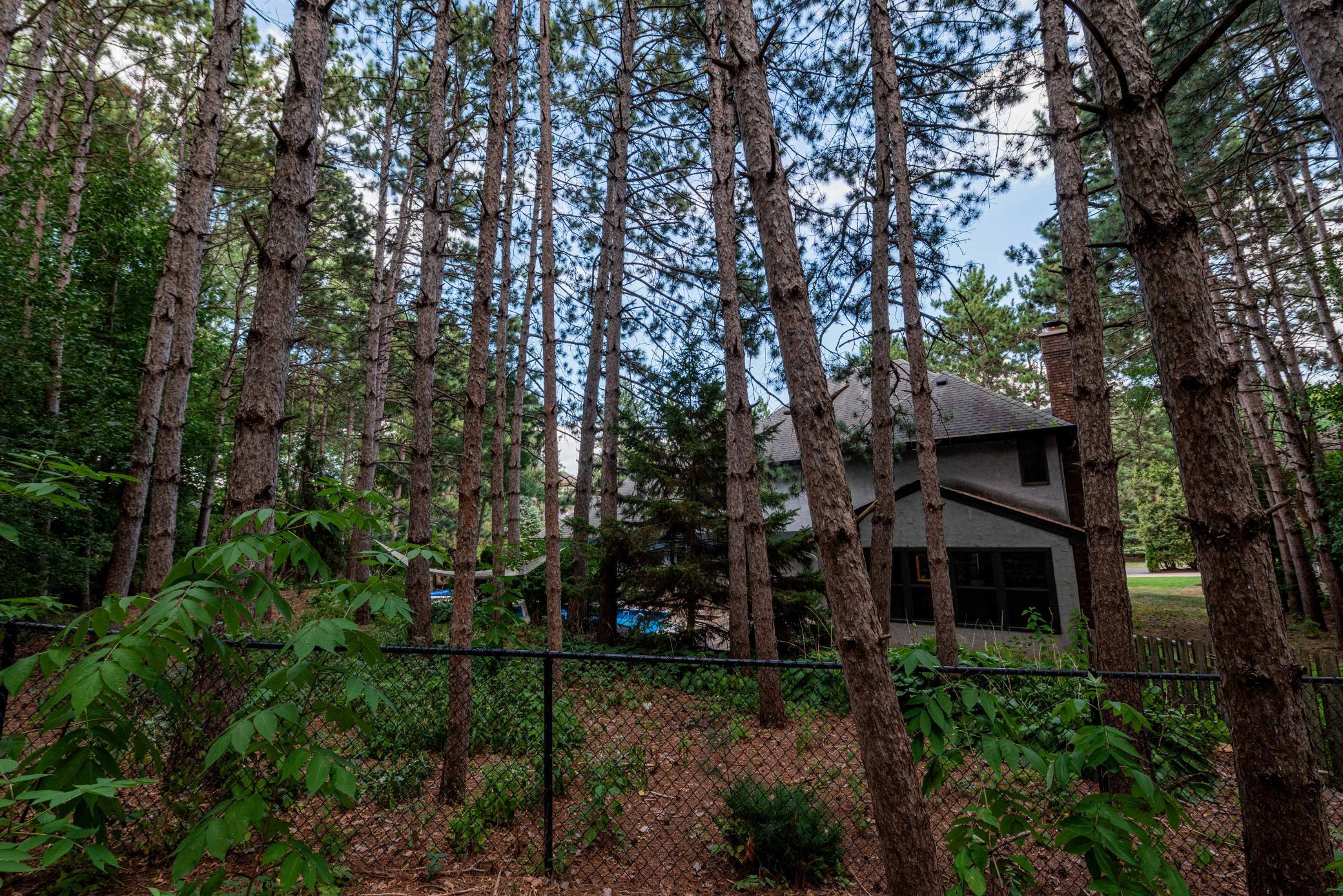 View of Residential at 1820 Interlachen Alcove, Woodbury MN 55125, Woodbury (123 of 136) - Mike Wilen | Minnesota Team Real Estate