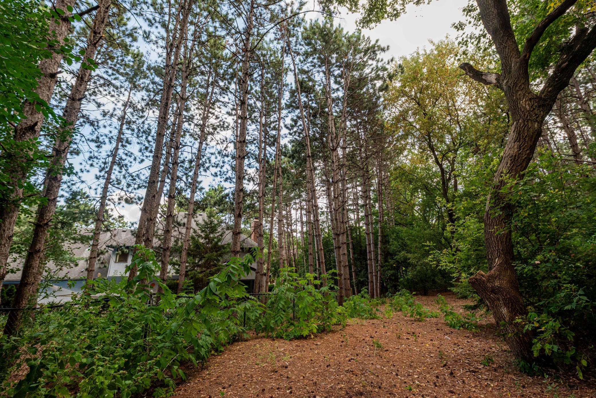 View of Residential at 1820 Interlachen Alcove, Woodbury MN 55125, Woodbury (121 of 136) - Mike Wilen | Minnesota Team Real Estate