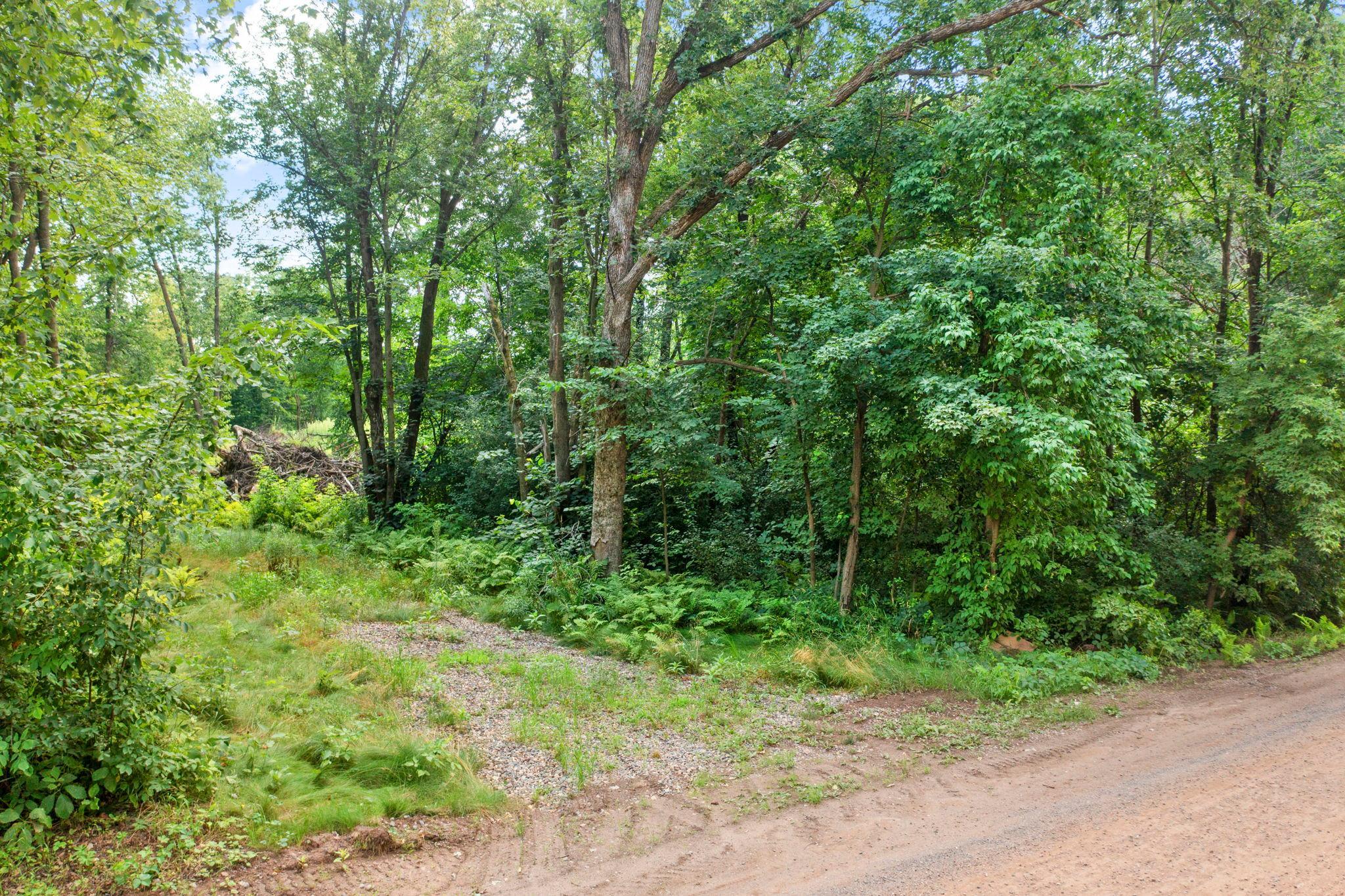 View of Land at 1850 Klondike Drive, Cedar MN 55011, Cedar (19 of 29) - Mike Wilen | Minnesota Team Real Estate