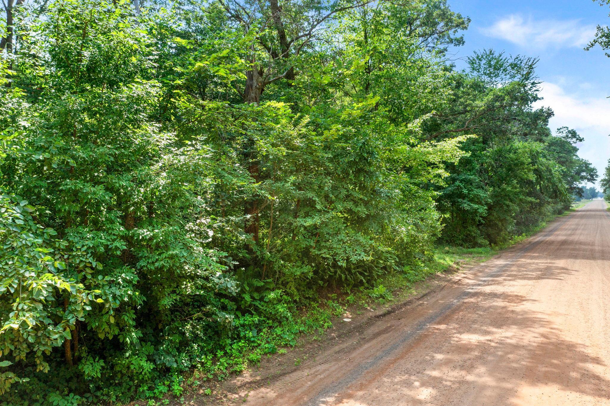 View of Land at 1850 Klondike Drive, Cedar MN 55011, Cedar (18 of 29) - Mike Wilen | Minnesota Team Real Estate