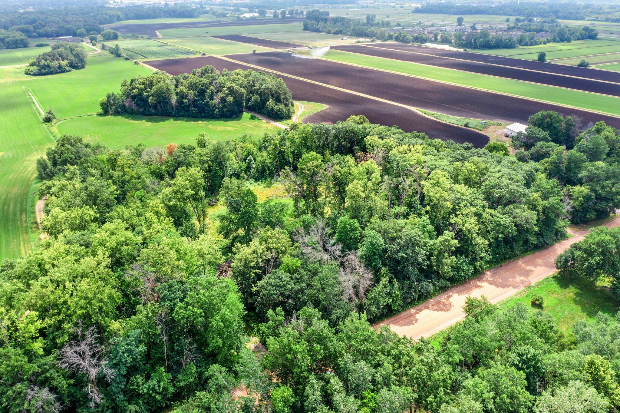 View of Land at 1850 Klondike Drive, Cedar MN 55011, Cedar (13 of 29) - Mike Wilen | Minnesota Team Real Estate