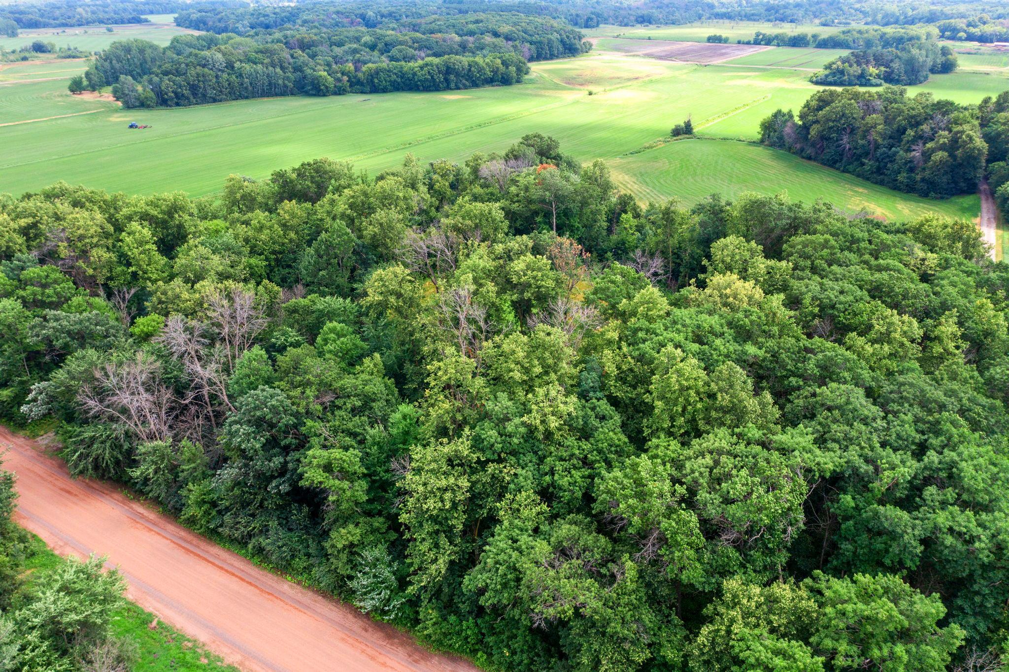 View of Land at 1850 Klondike Drive, Cedar MN 55011, Cedar (12 of 29) - Mike Wilen | Minnesota Team Real Estate