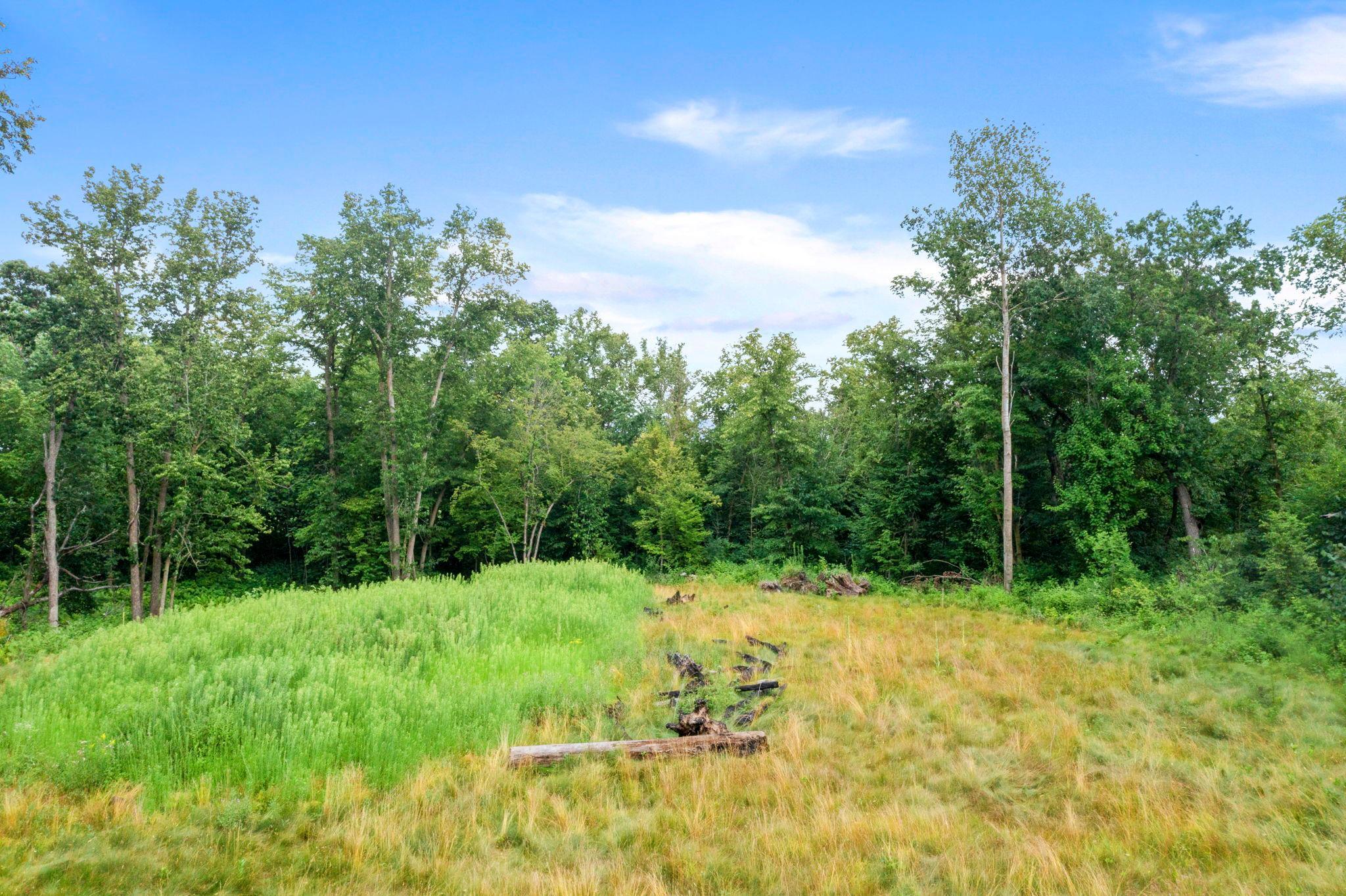 View of Land at 1850 Klondike Drive, Cedar MN 55011, Cedar (8 of 29) - Mike Wilen | Minnesota Team Real Estate