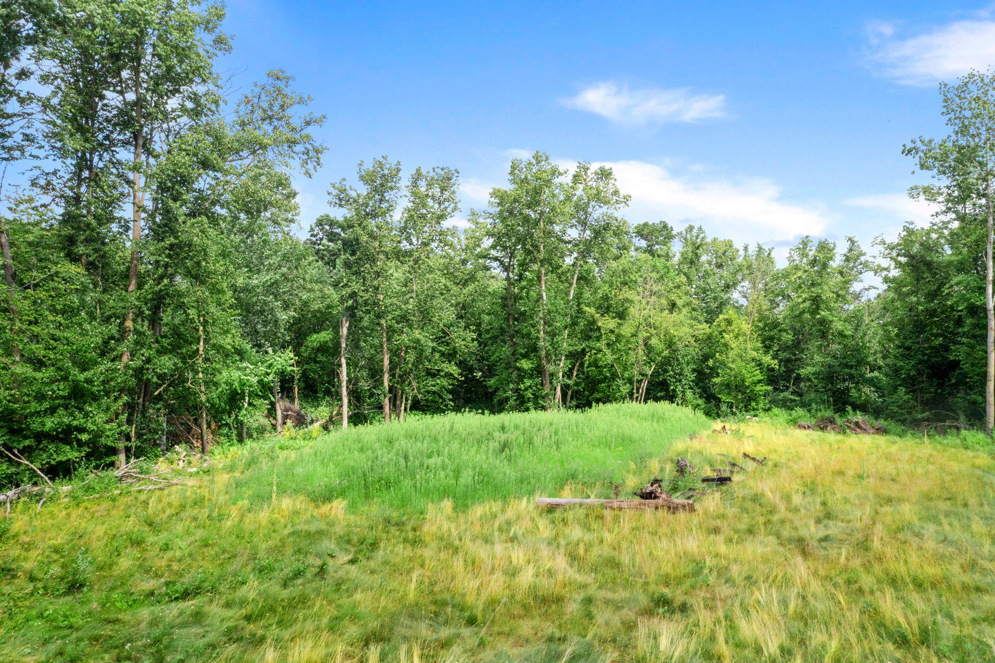 View of Land at 1850 Klondike Drive, Cedar MN 55011, Cedar (7 of 29) - Mike Wilen | Minnesota Team Real Estate