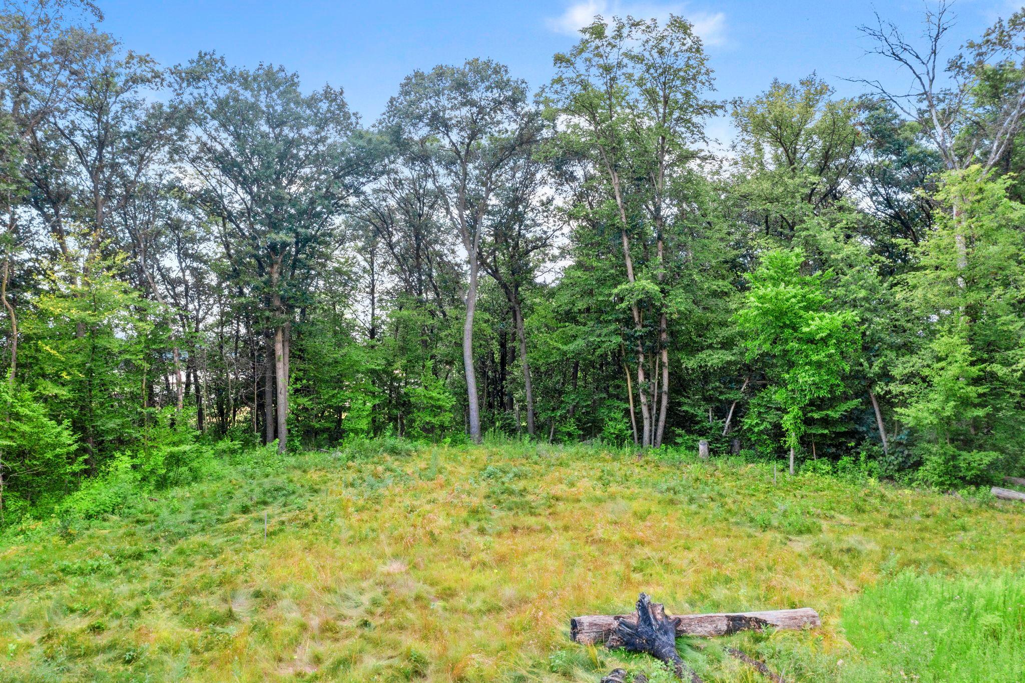 View of Land at 1850 Klondike Drive, Cedar MN 55011, Cedar (6 of 29) - Mike Wilen | Minnesota Team Real Estate