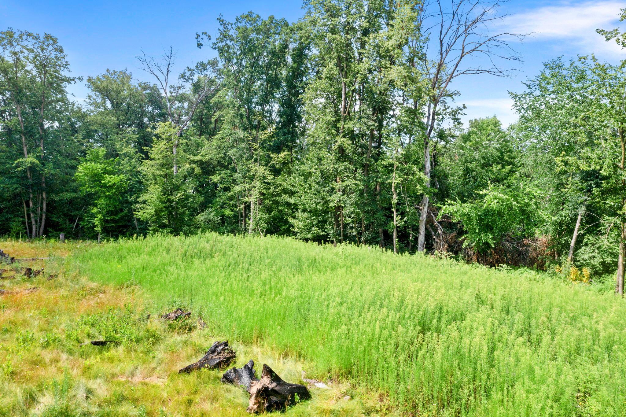 View of Land at 1850 Klondike Drive, Cedar MN 55011, Cedar (5 of 29) - Mike Wilen | Minnesota Team Real Estate
