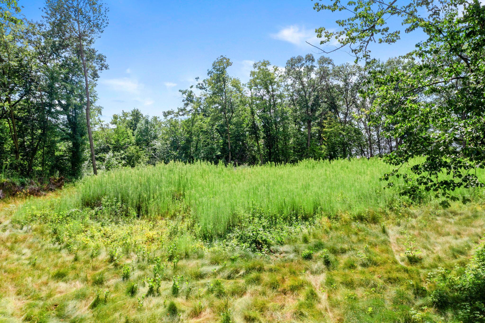 View of Land at 1850 Klondike Drive, Cedar MN 55011, Cedar (4 of 29) - Mike Wilen | Minnesota Team Real Estate
