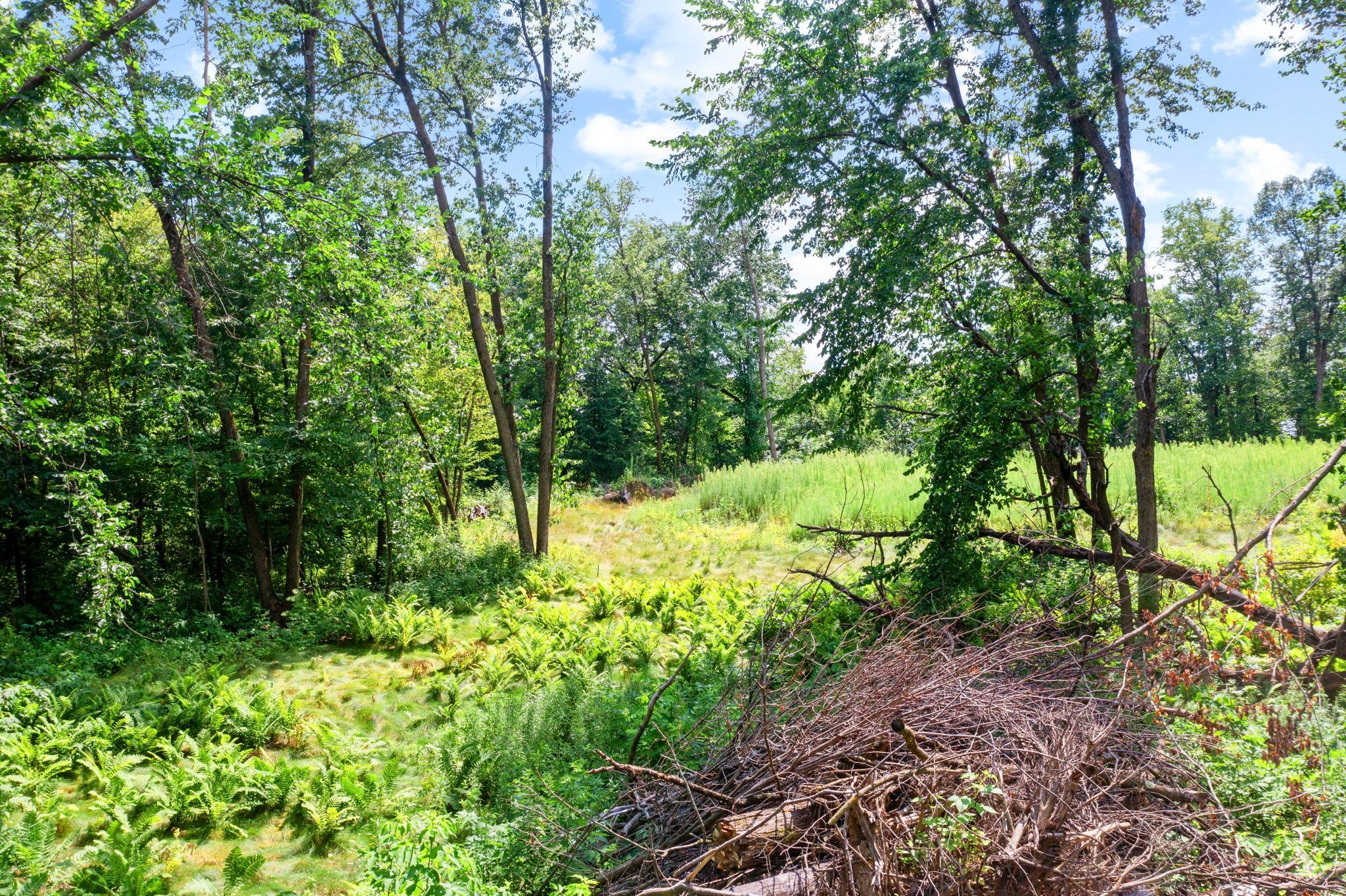 View of Land at 1850 Klondike Drive, Cedar MN 55011, Cedar (3 of 29) - Mike Wilen | Minnesota Team Real Estate
