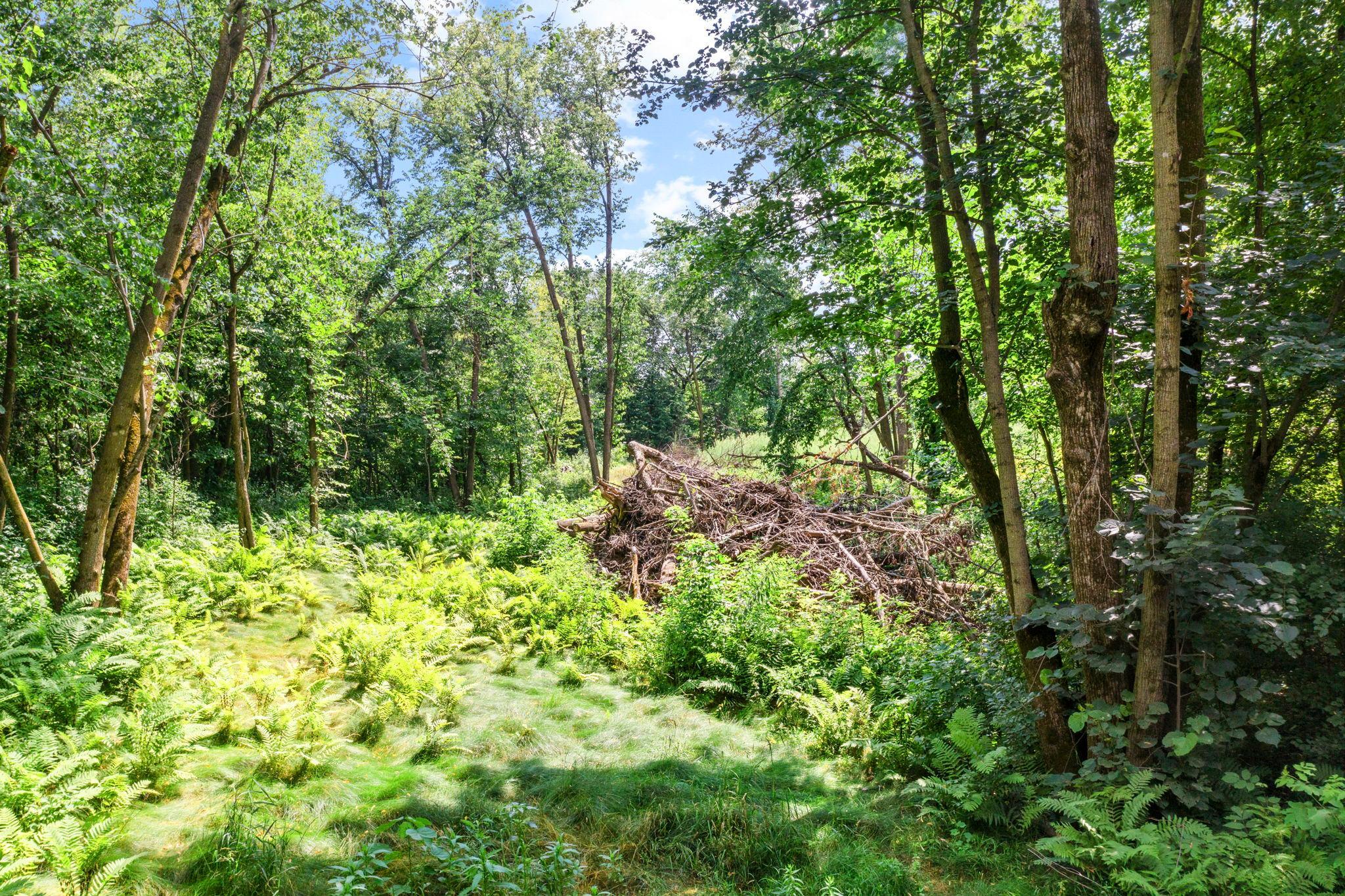 View of Land at 1850 Klondike Drive, Cedar MN 55011, Cedar (2 of 29) - Mike Wilen | Minnesota Team Real Estate