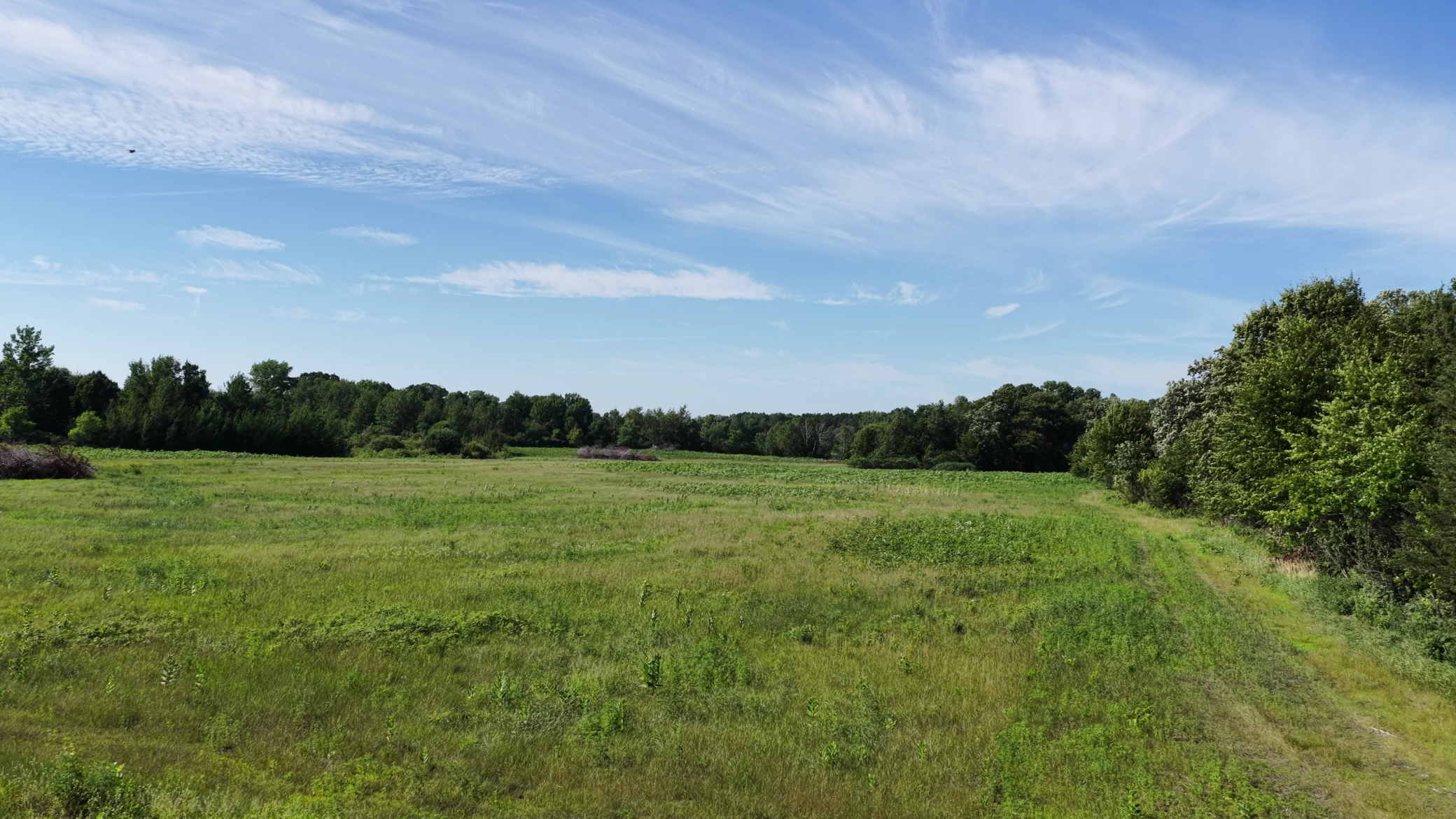 View of Land at TBD Highland Avenue, Big Lake MN 55309, Big Lake (5 of 18) - Mike Wilen | Minnesota Team Real Estate