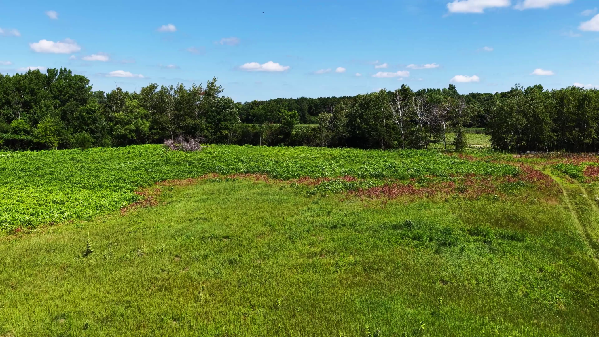 View of Land at TBD Highland Avenue, Big Lake MN 55309, Big Lake (17 of 18) - Mike Wilen | Minnesota Team Real Estate
