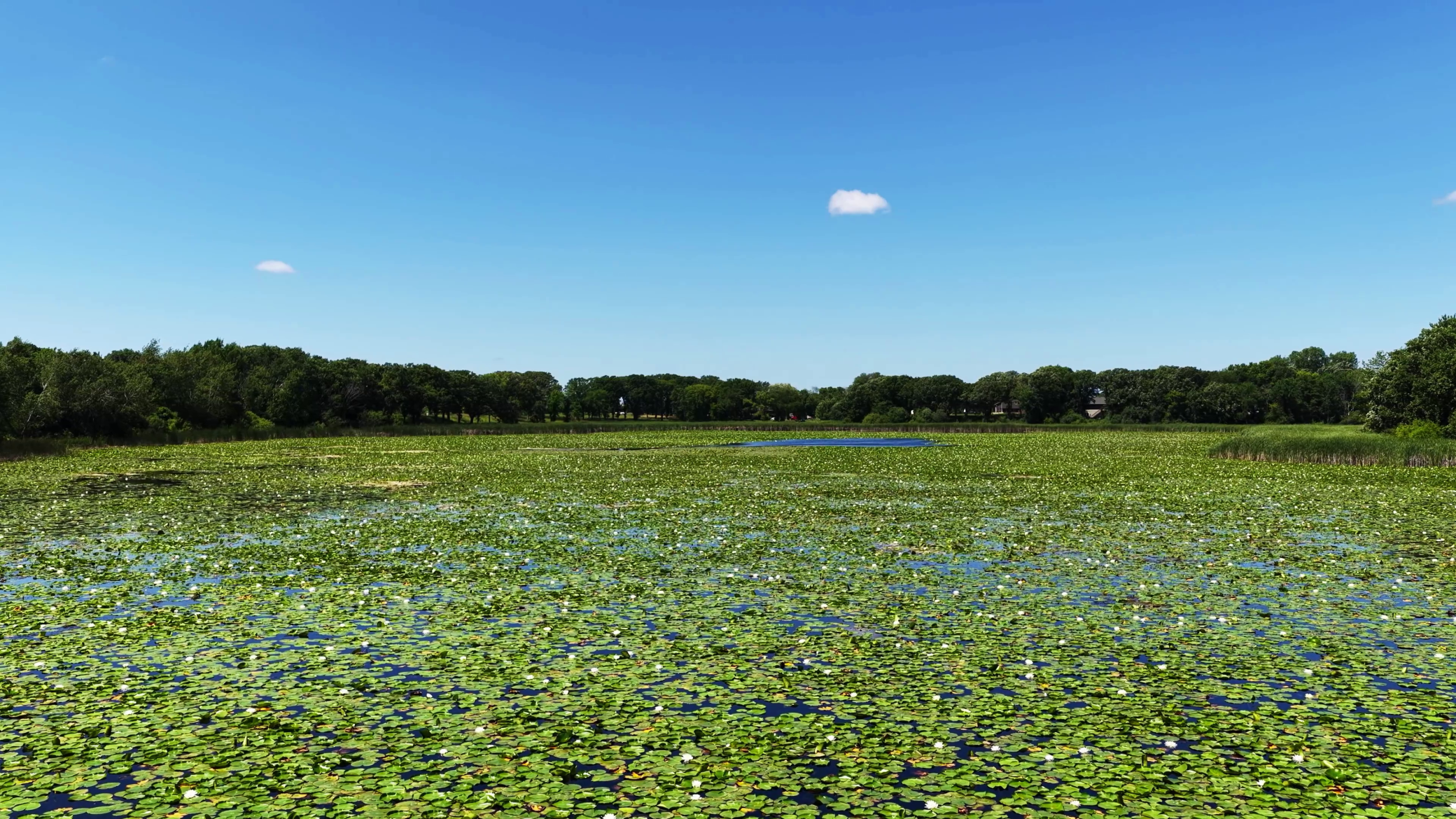 View of Land at TBD Highland Avenue, Big Lake MN 55309, Big Lake (14 of 18) - Mike Wilen | Minnesota Team Real Estate