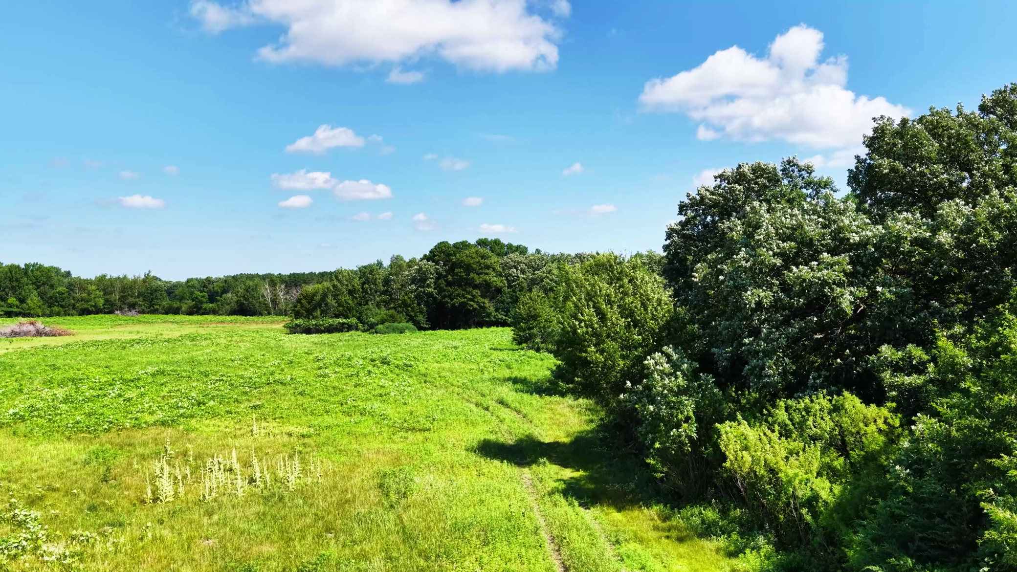 View of Land at TBD Highland Avenue, Big Lake MN 55309, Big Lake (13 of 18) - Mike Wilen | Minnesota Team Real Estate
