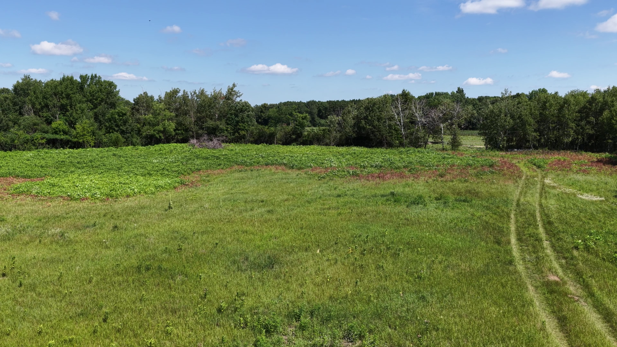 View of Land at TBD Highland Avenue, Big Lake MN 55309, Big Lake (12 of 18) - Mike Wilen | Minnesota Team Real Estate