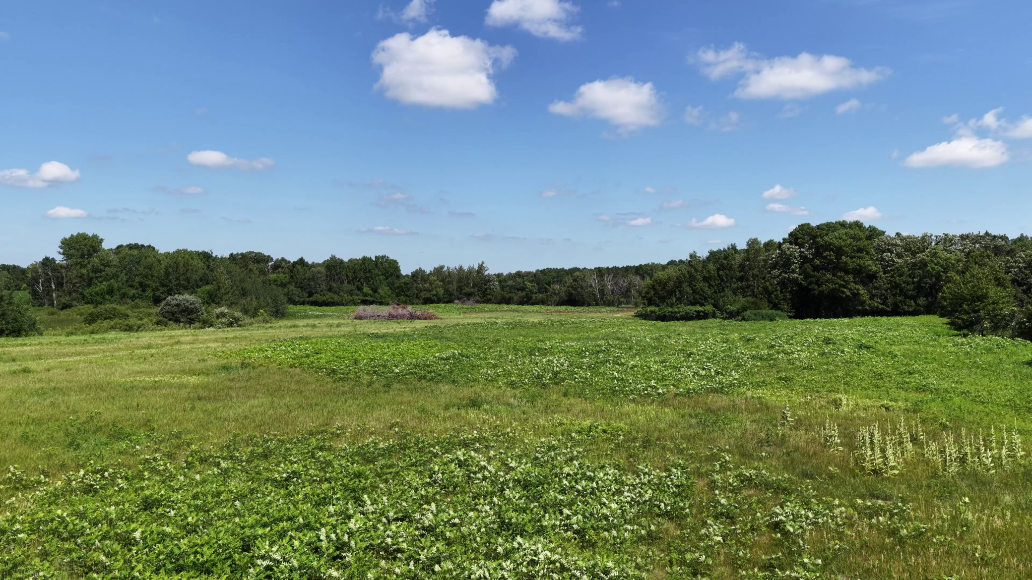 View of Land at TBD Highland Avenue, Big Lake MN 55309, Big Lake (11 of 18) - Mike Wilen | Minnesota Team Real Estate