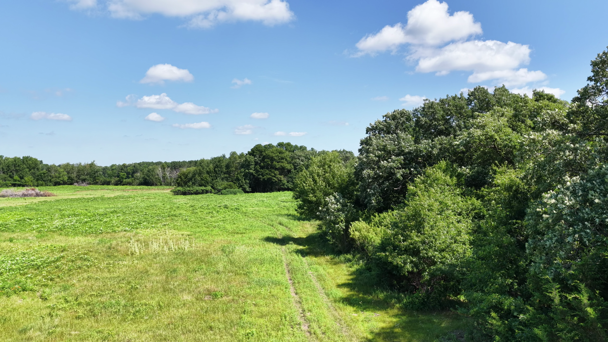 View of Land at TBD Highland Avenue, Big Lake MN 55309, Big Lake (9 of 18) - Mike Wilen | Minnesota Team Real Estate