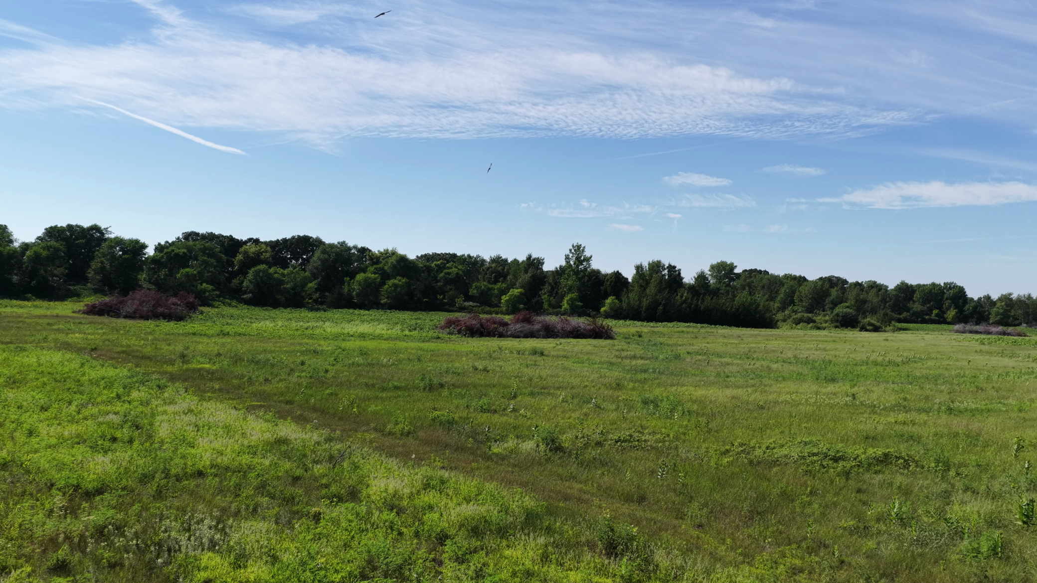 View of Land at TBD Highland Avenue, Big Lake MN 55309, Big Lake (7 of 18) - Mike Wilen | Minnesota Team Real Estate