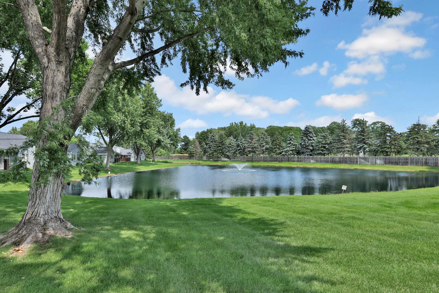 View of Residential at 1123 Lois Court, Shoreview MN 55126, Shoreview (22 of 58) - Mike Wilen | Minnesota Team Real Estate