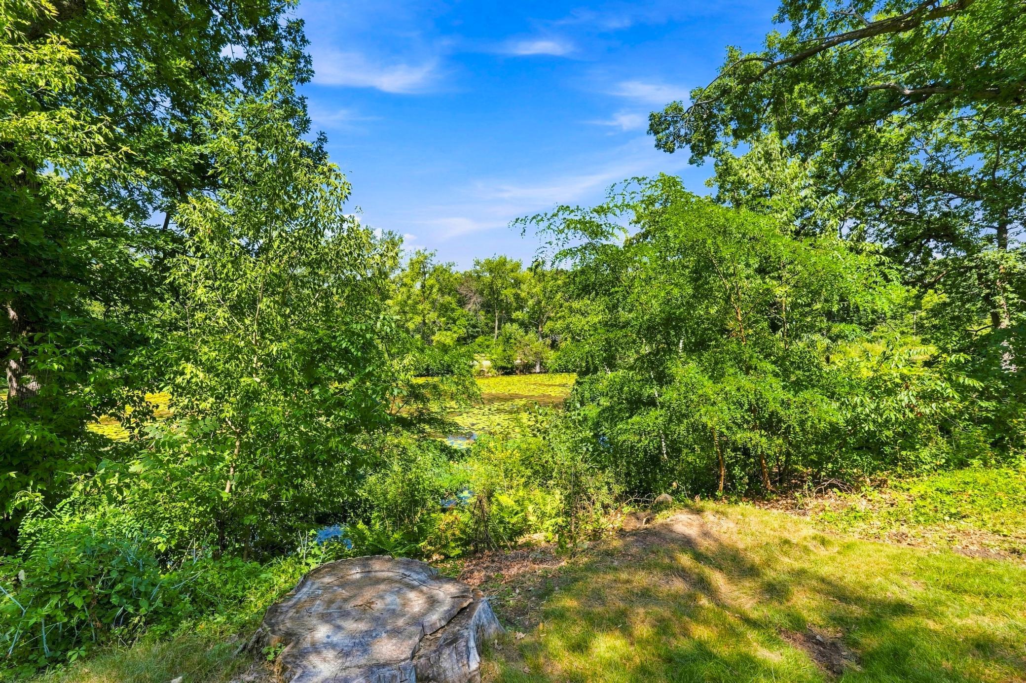 View of Residential at 725 Birchwood Avenue, White Bear Lake MN 55110, White Bear Lake (38 of 48) - Mike Wilen | Minnesota Team Real Estate