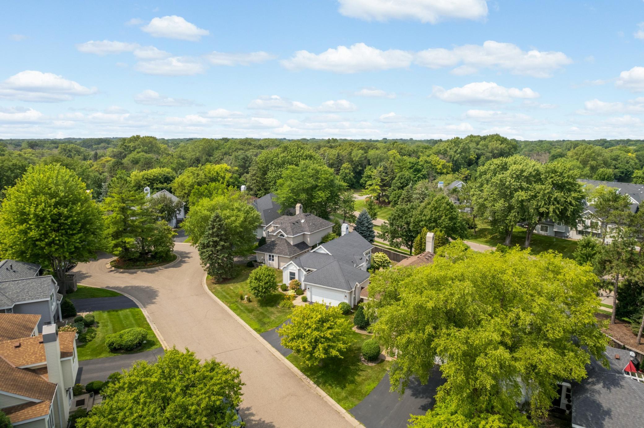 View of Residential at 15720 17th Place, Plymouth MN 55447, Plymouth (40 of 54) - Mike Wilen | Minnesota Team Real Estate
