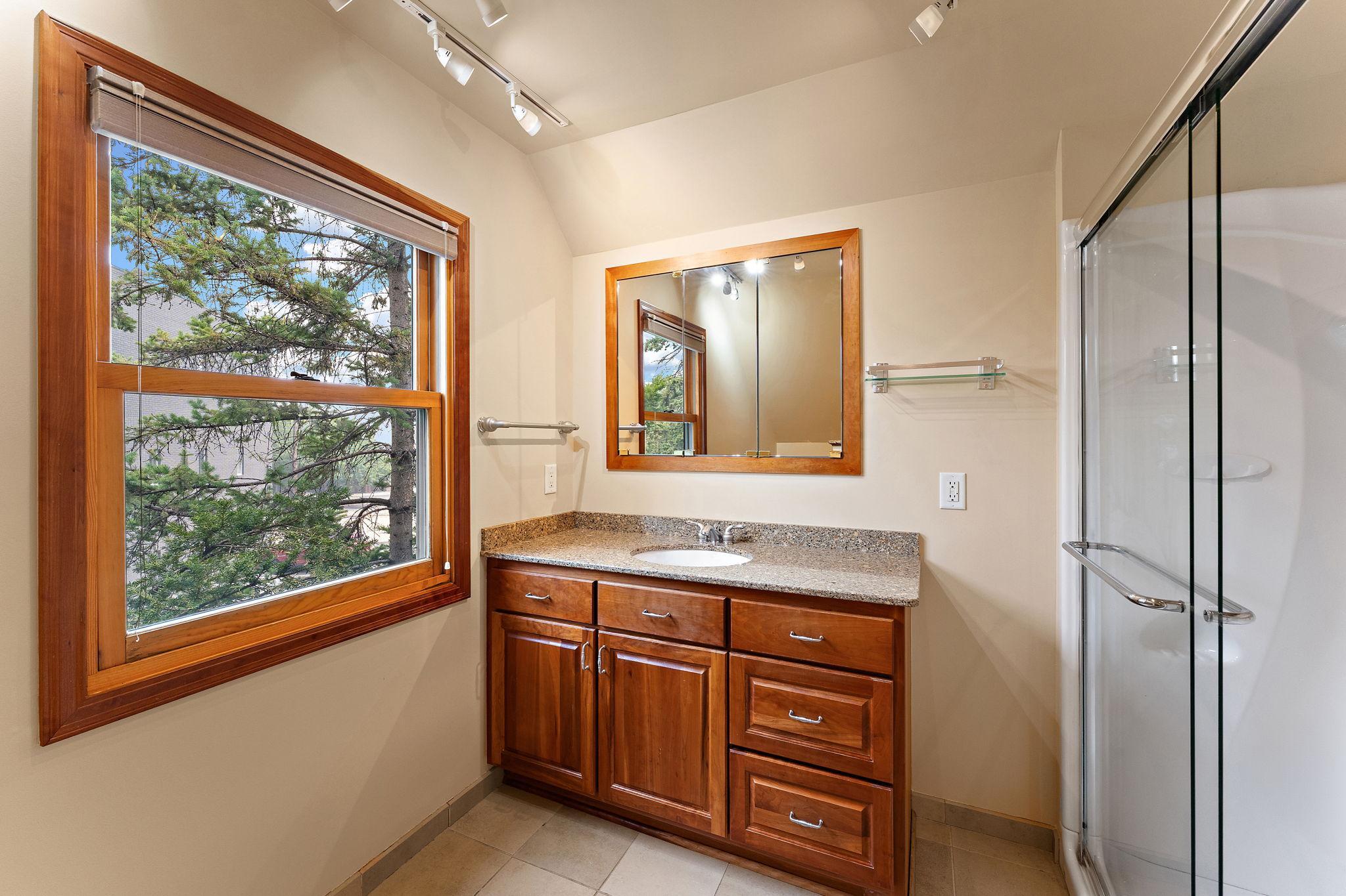 View of Residential at 1017 Thomas Avenue, Minneapolis MN 55405, Minneapolis (33 of 58) - Mike Wilen | Minnesota Team Real Estate