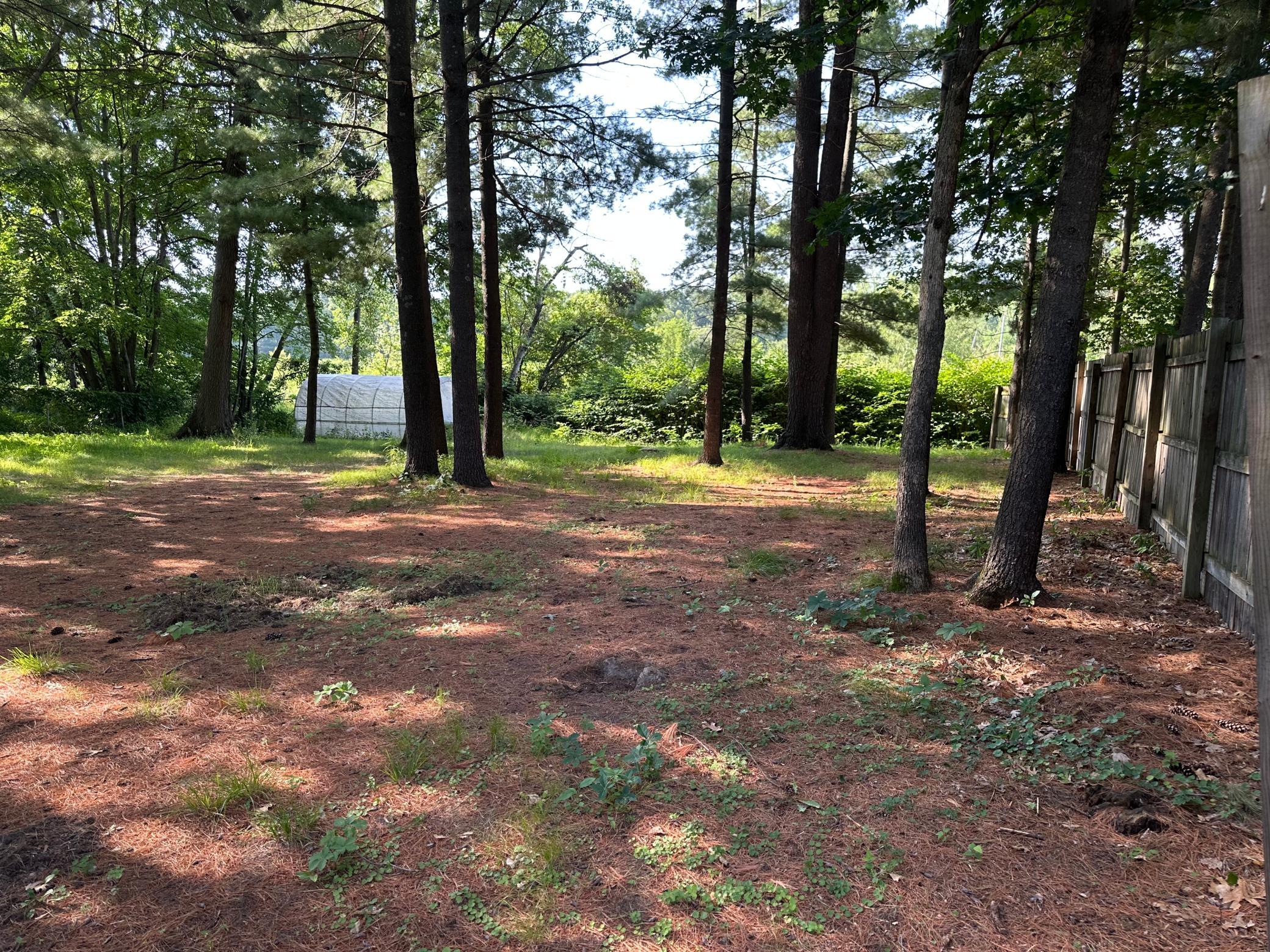 View of Residential at 224 Grove Road, Wyoming MN 55092, Wyoming (13 of 26) - Mike Wilen | Minnesota Team Real Estate
