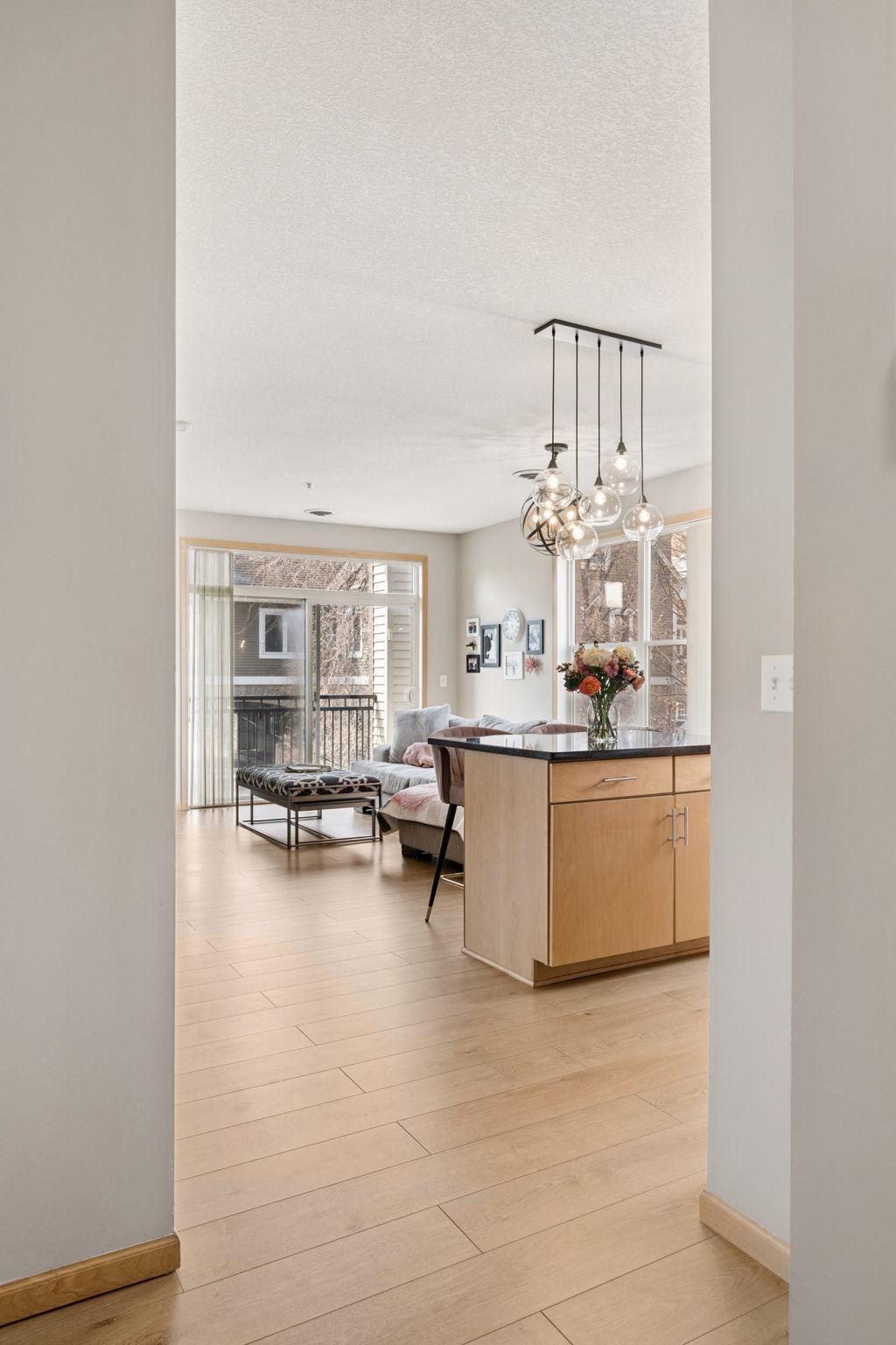 View of Residential at 301 Oak Grove Street #314, Minneapolis MN 55403, Minneapolis (8 of 58) - Mike Wilen | Minnesota Team Real Estate