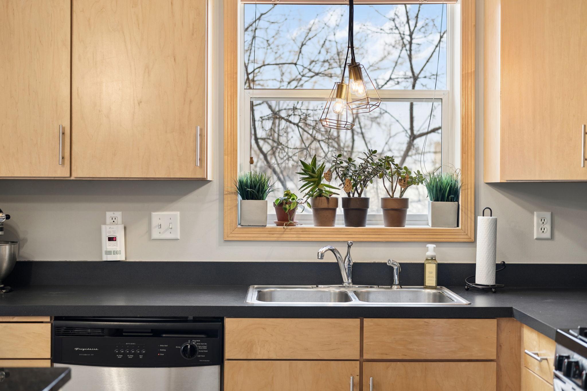 View of Residential at 301 Oak Grove Street #314, Minneapolis MN 55403, Minneapolis (15 of 58) - Mike Wilen | Minnesota Team Real Estate