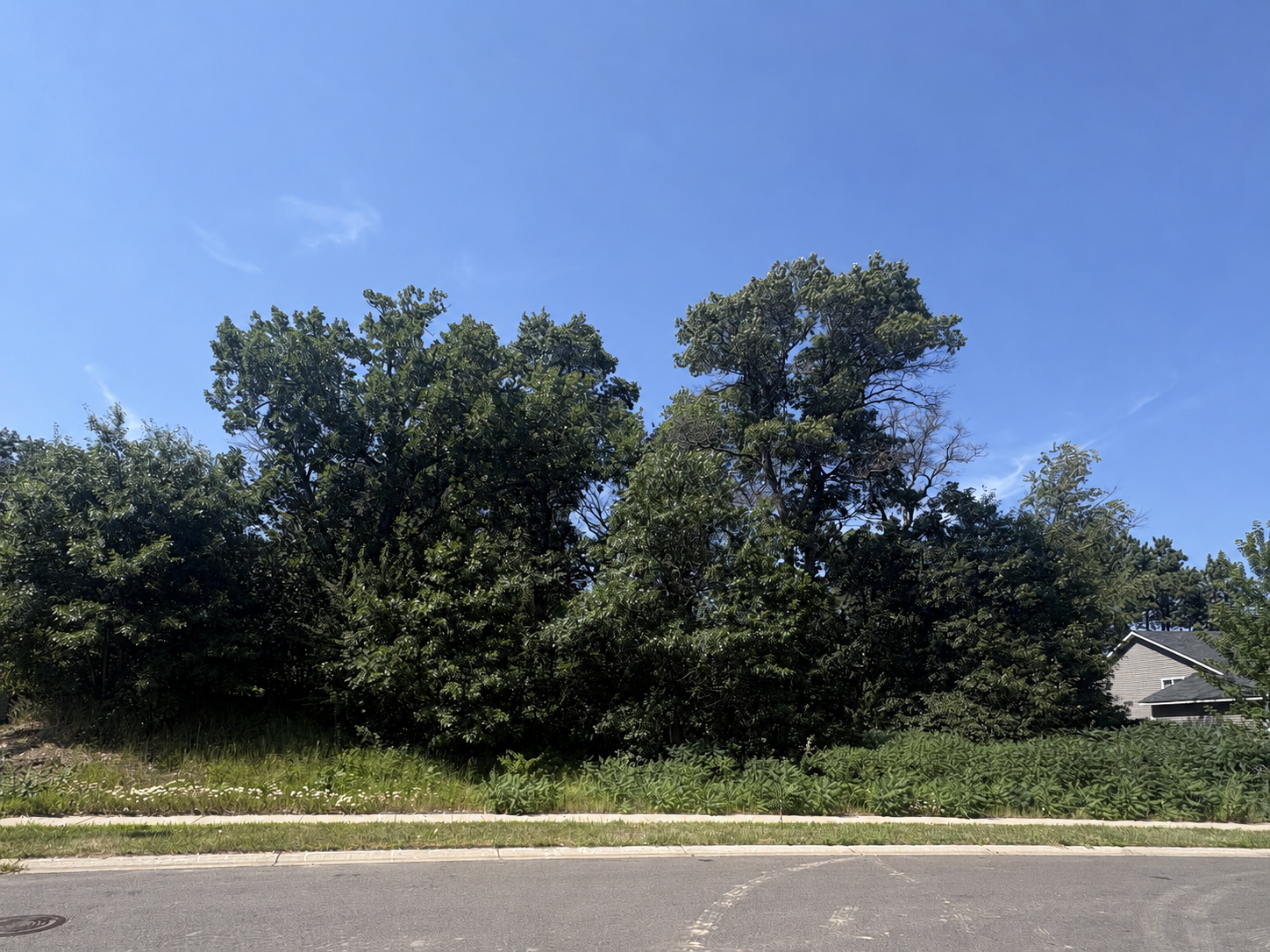 View of Land at 13322 Jefferson Street, Becker MN 55308, Becker (9 of 11) - Mike Wilen | Minnesota Team Real Estate