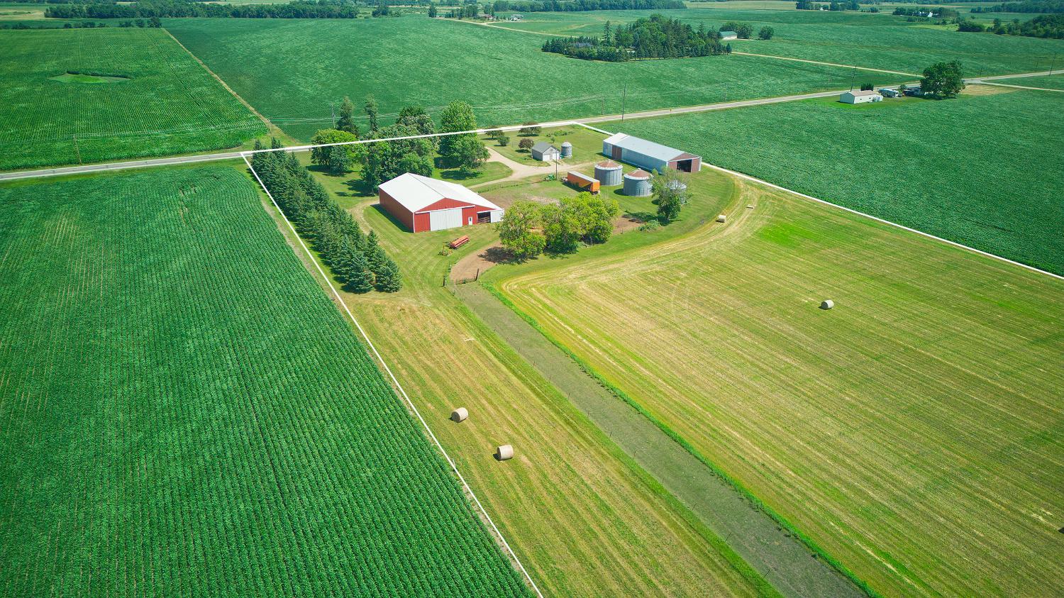 View of Residential at 12725 County Road 30, Cokato MN 55321, Cokato (63 of 66) - Mike Wilen | Minnesota Team Real Estate