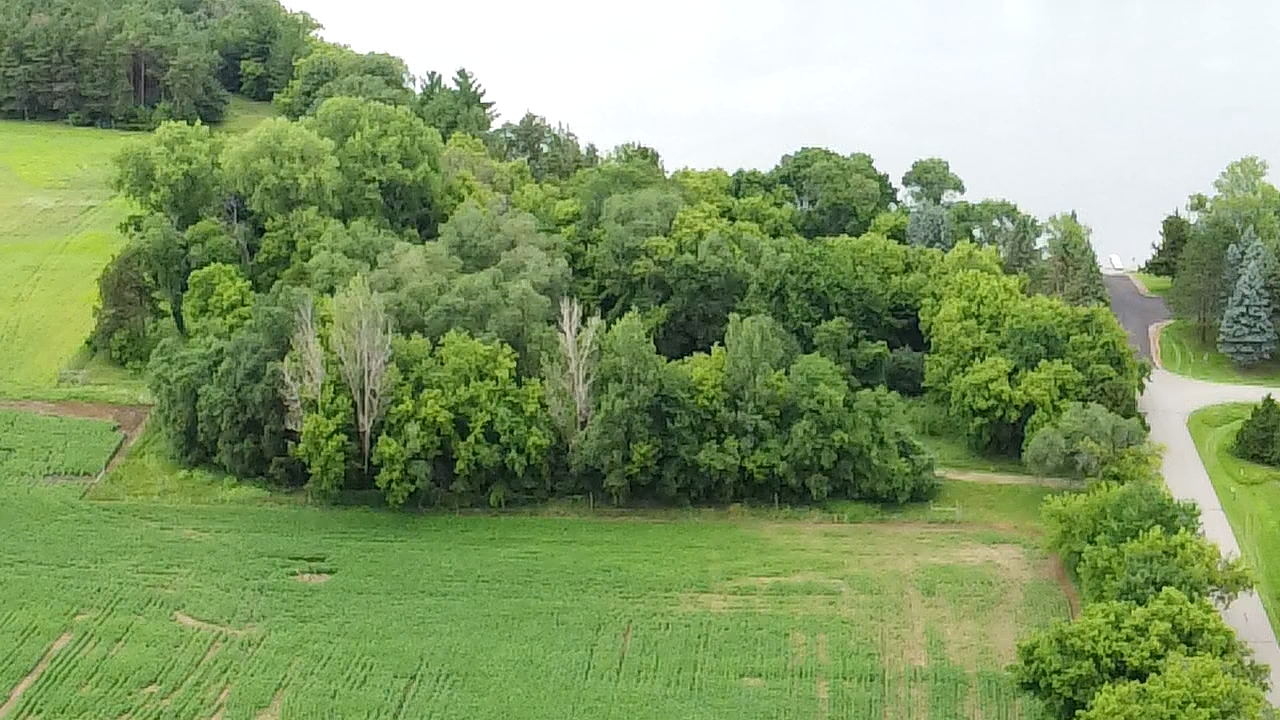 View of Land at 2A Briarwood Ave, Buffalo MN 55313, Buffalo (3 of 4) - Mike Wilen | Minnesota Team Real Estate