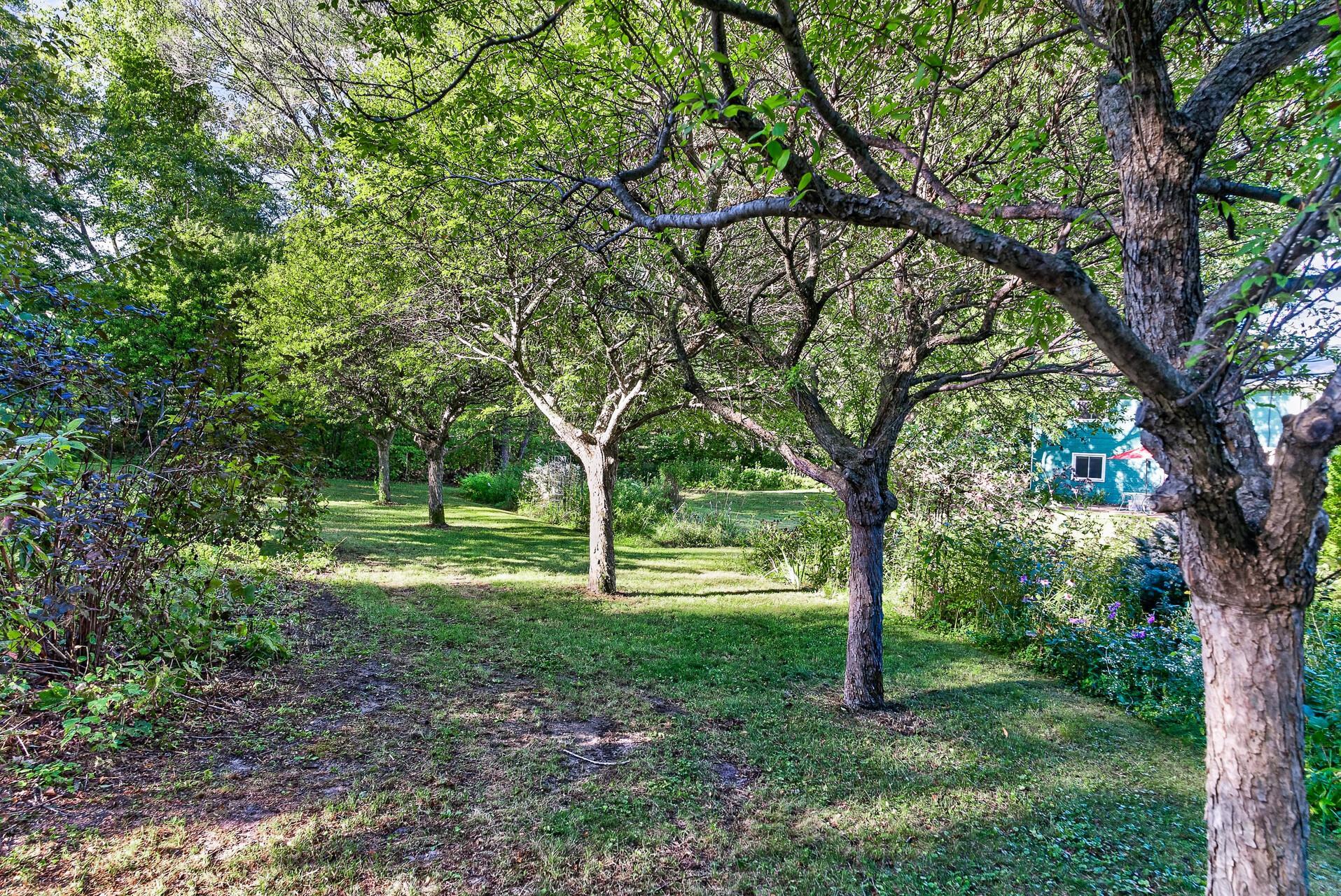 View of Residential at 22385 Rush Creek Drive, Corcoran MN 55374, Corcoran (13 of 32) - Mike Wilen | Minnesota Team Real Estate