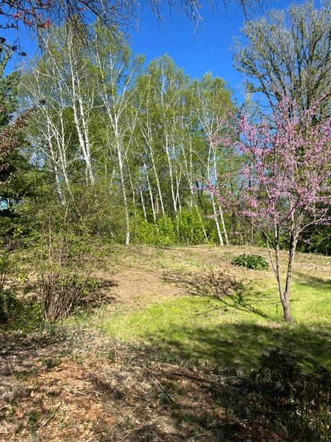 View of Residential at 22385 Rush Creek Drive, Corcoran MN 55374, Corcoran (17 of 32) - Mike Wilen | Minnesota Team Real Estate